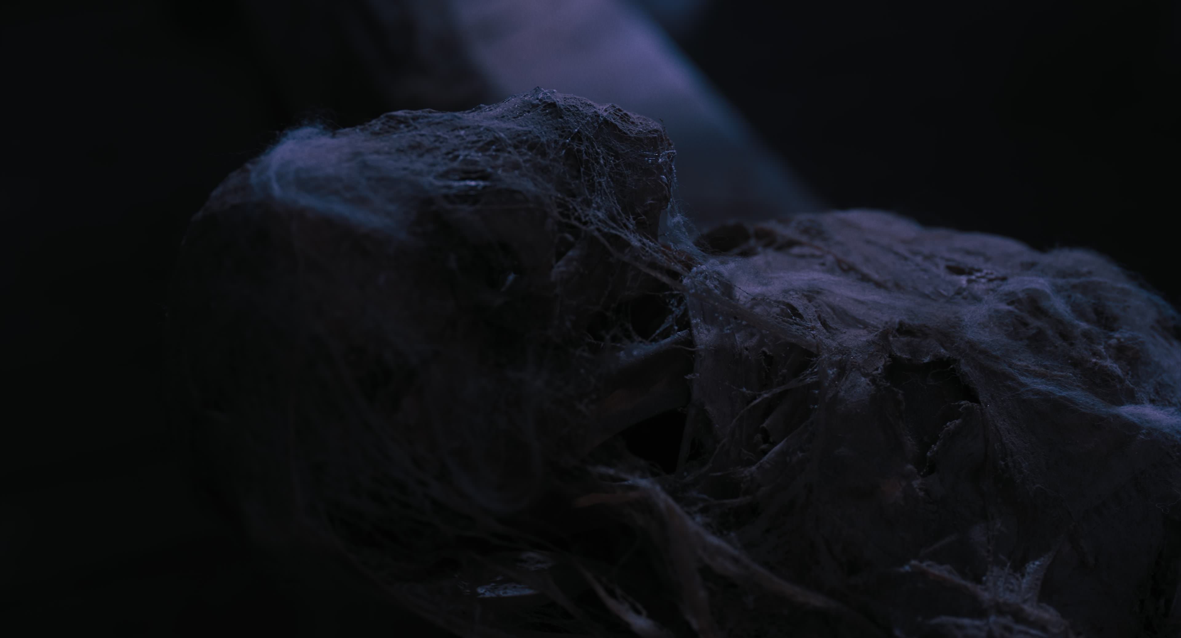 The Gorge (2025) [4K] HD screenshot 9701