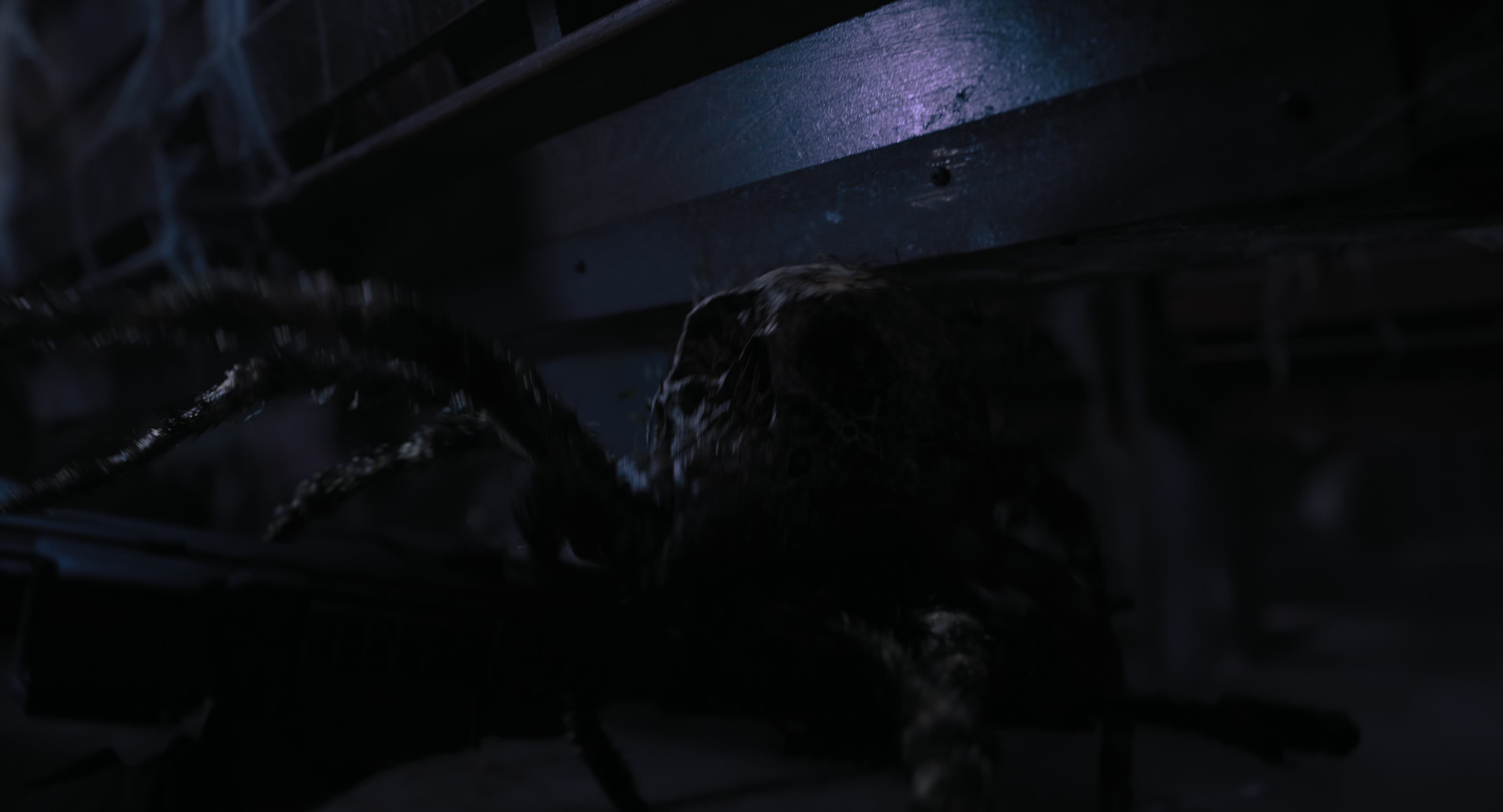 The Gorge (2025) [4K] HD screenshot 9911