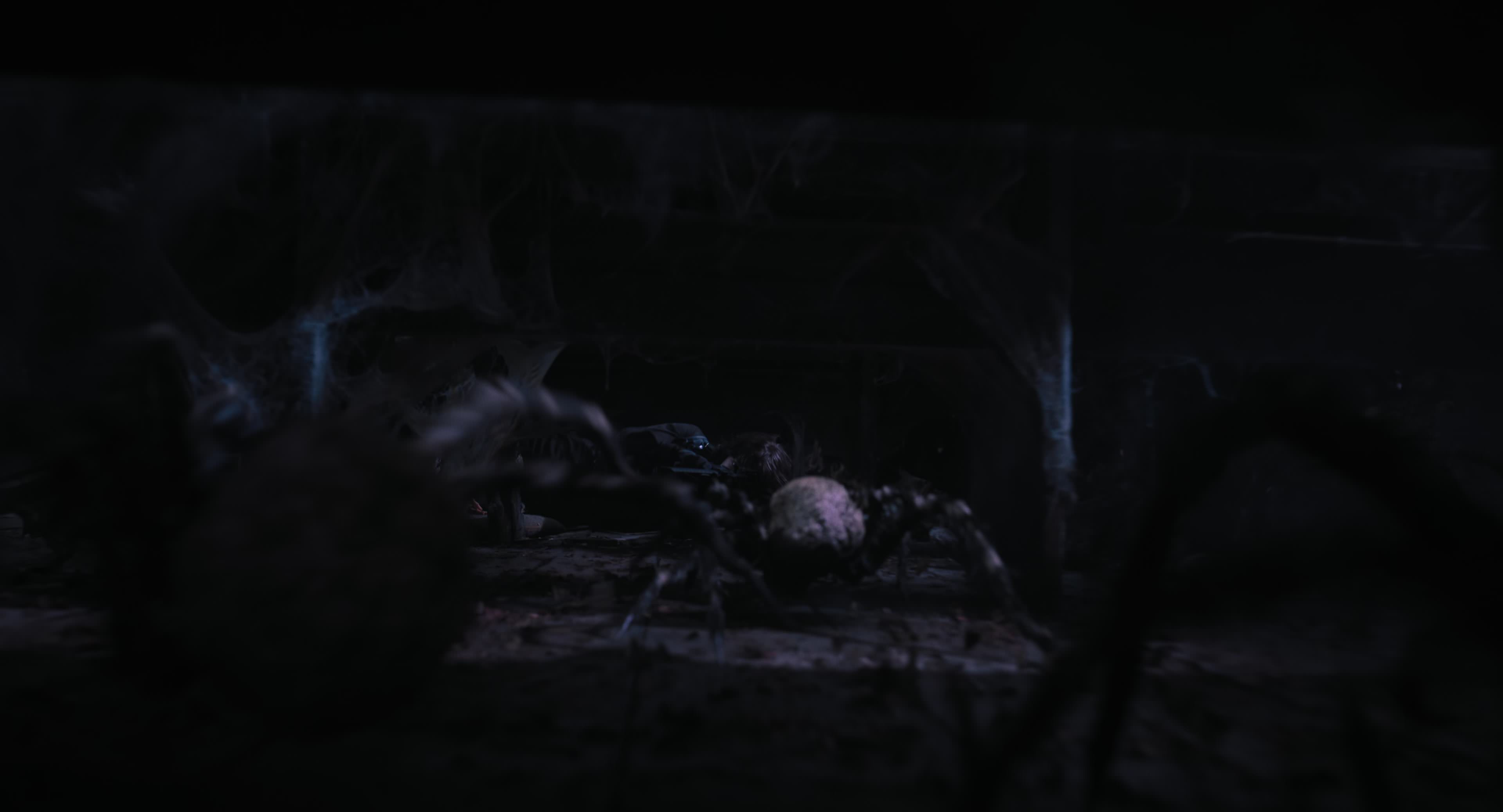 The Gorge (2025) [4K] HD screenshot 9923