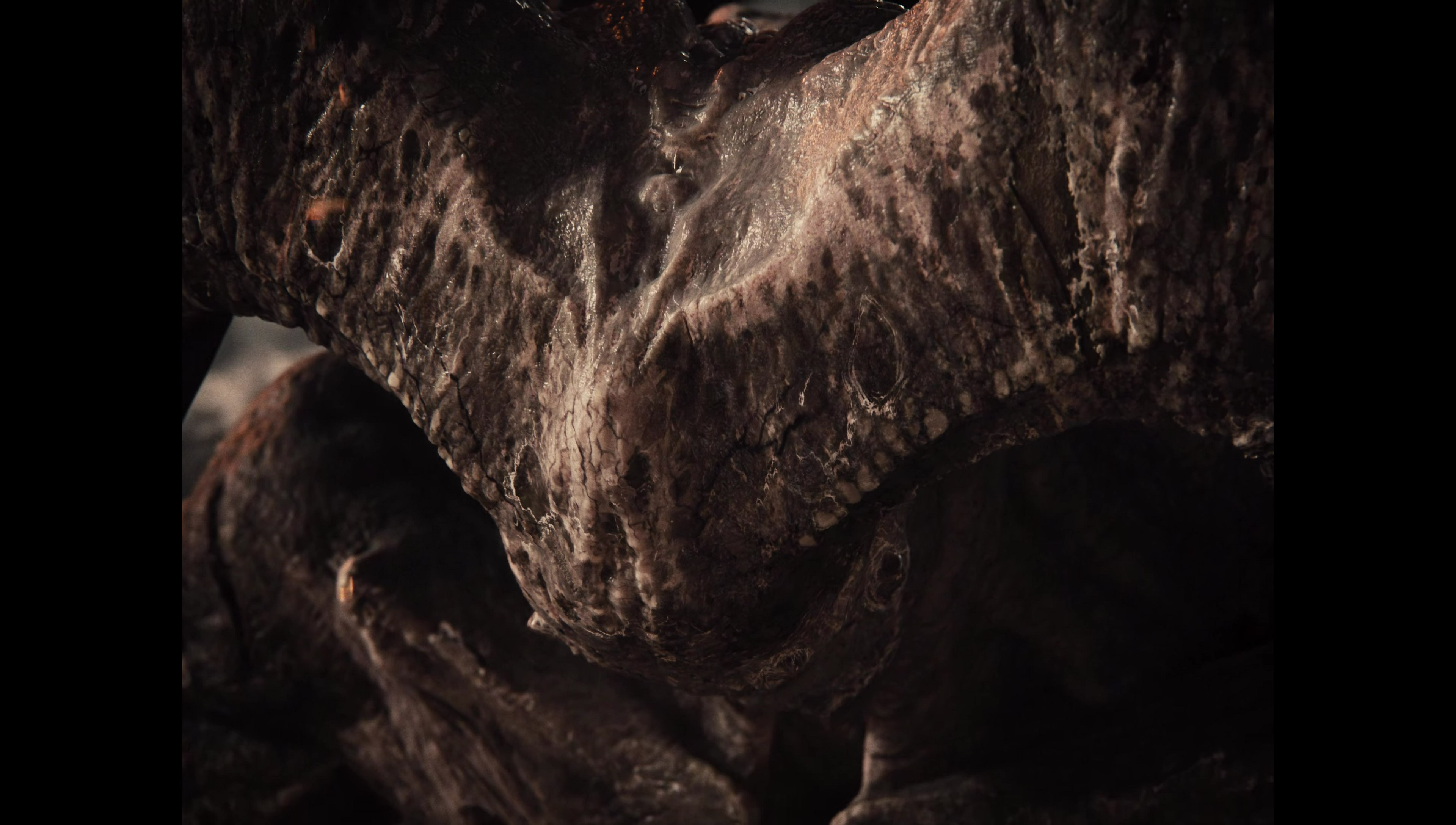 Zack Snyder’s Justice League (2021) screencap 13971