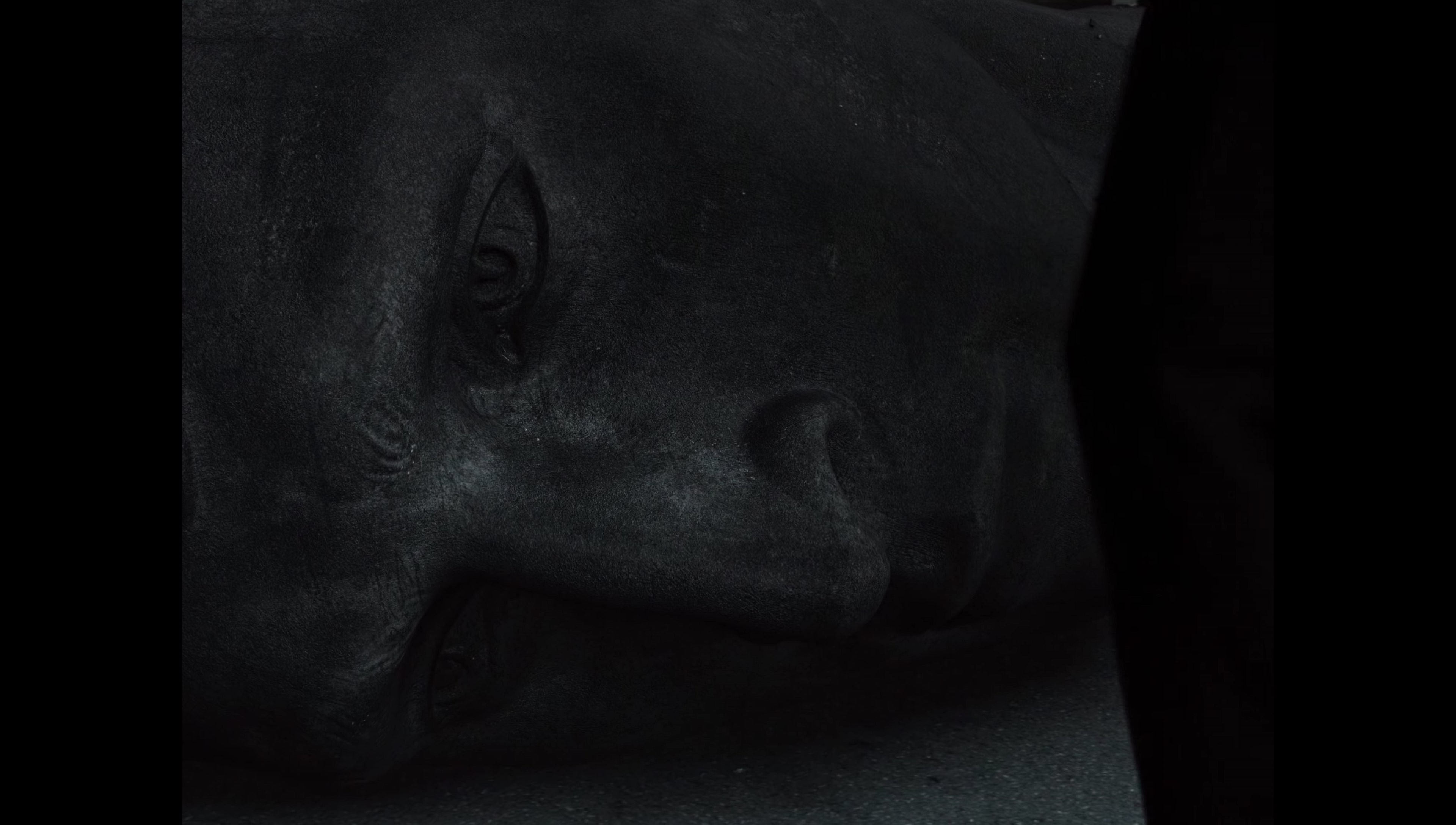 Zack Snyder’s Justice League (2021) screencap 17100
