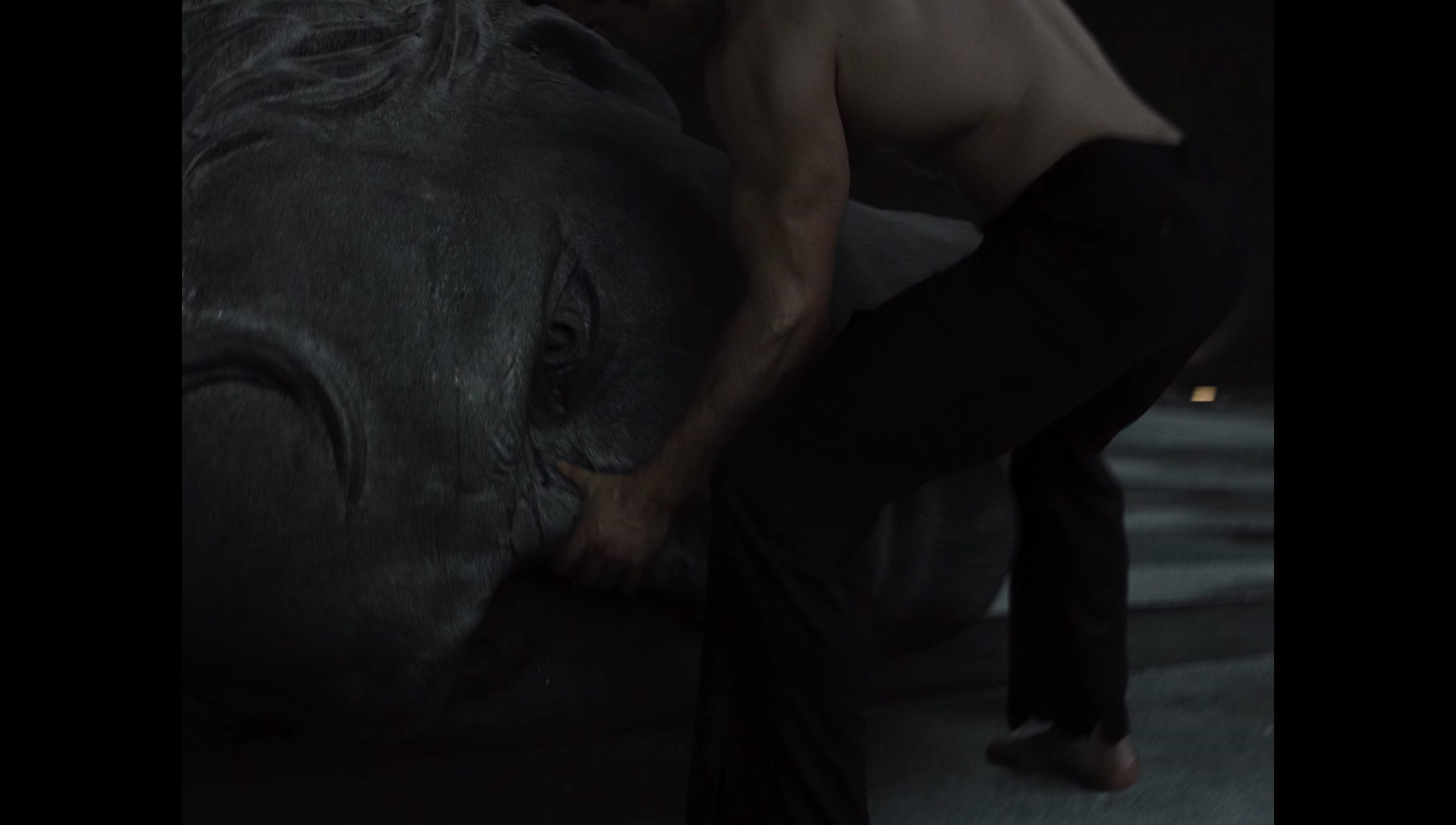 Zack Snyder’s Justice League (2021) screencap 17103