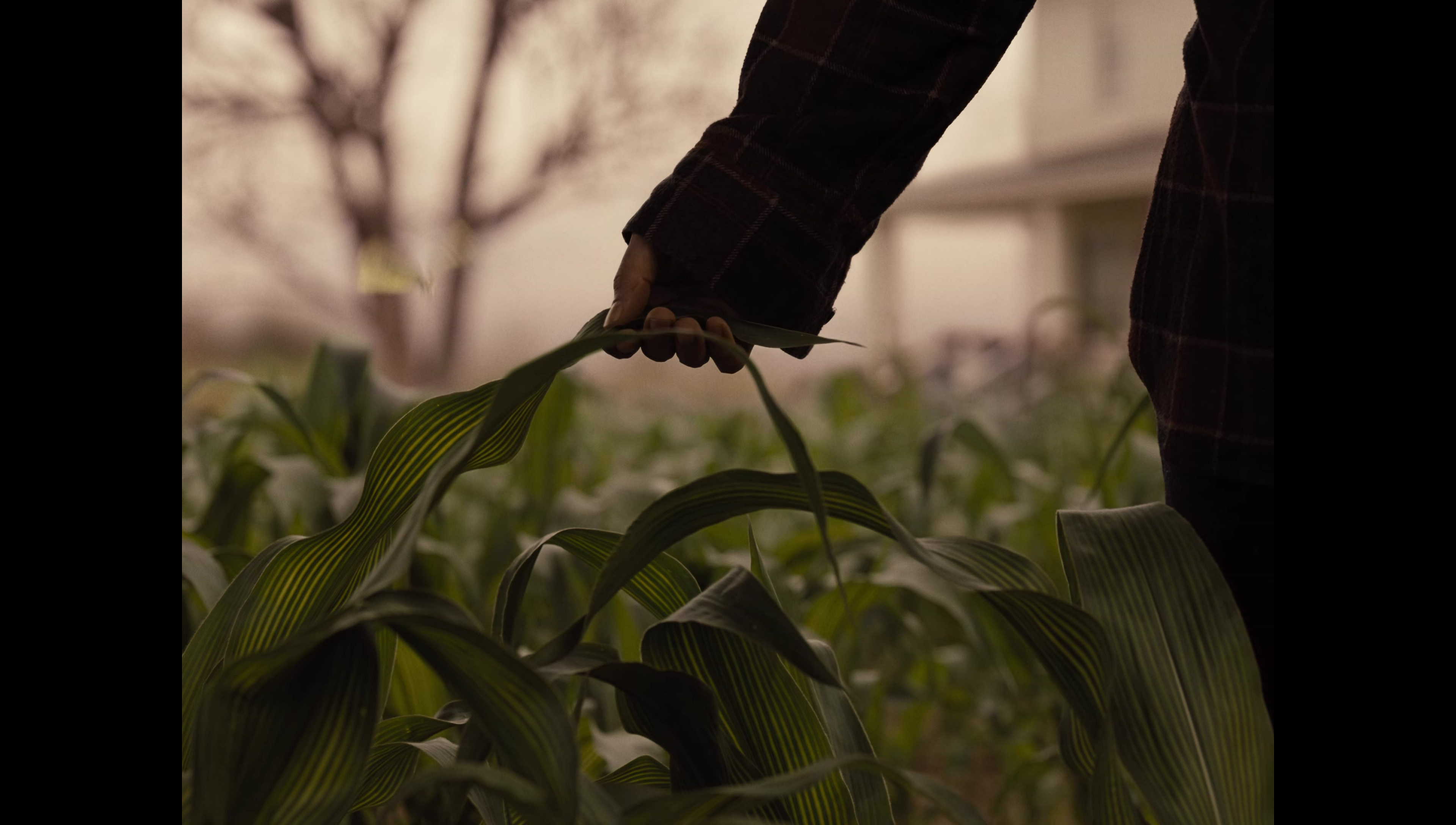 Zack Snyder’s Justice League (2021) movie still 18769