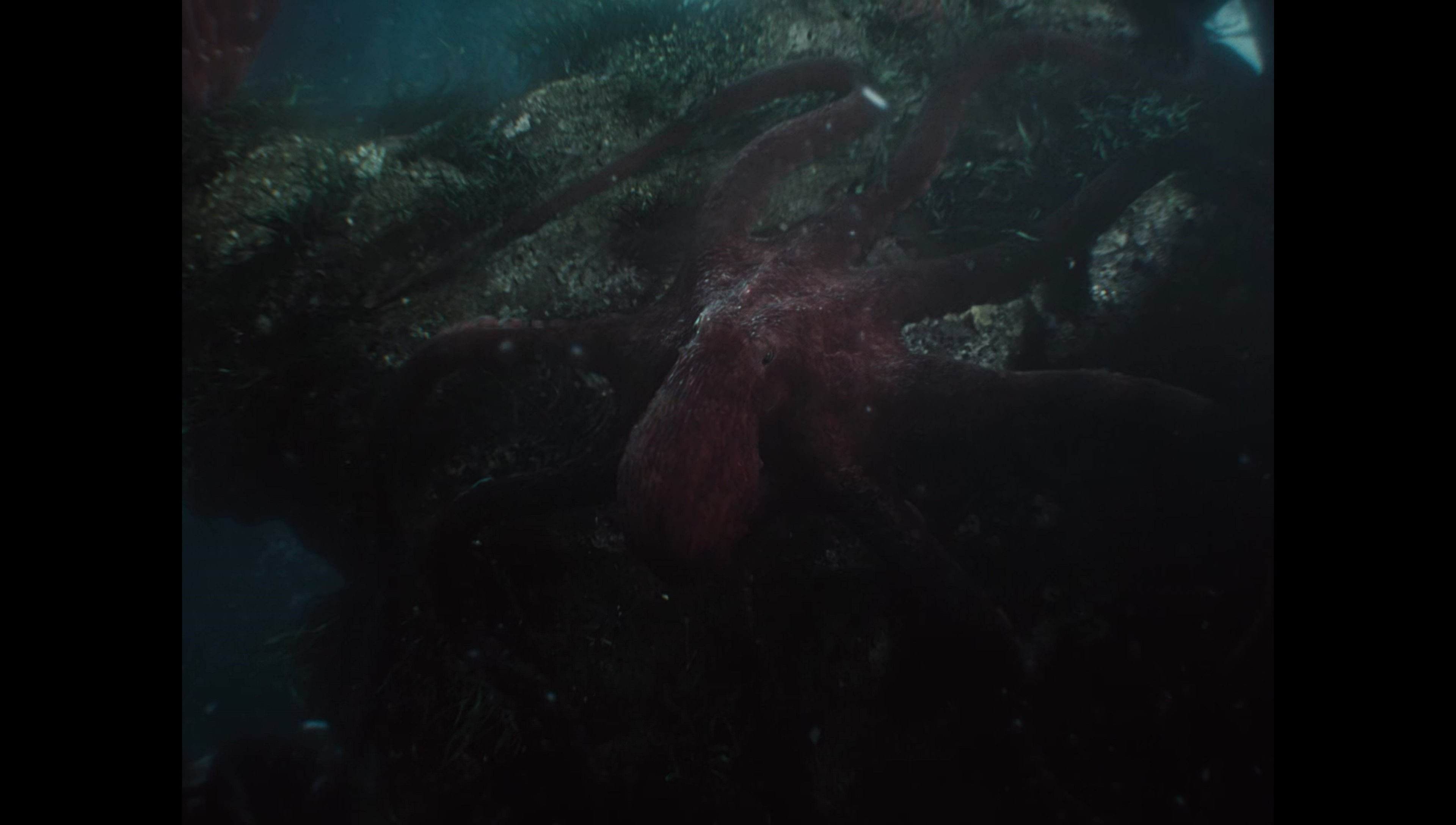 Zack Snyder’s Justice League (2021) movie still 5344