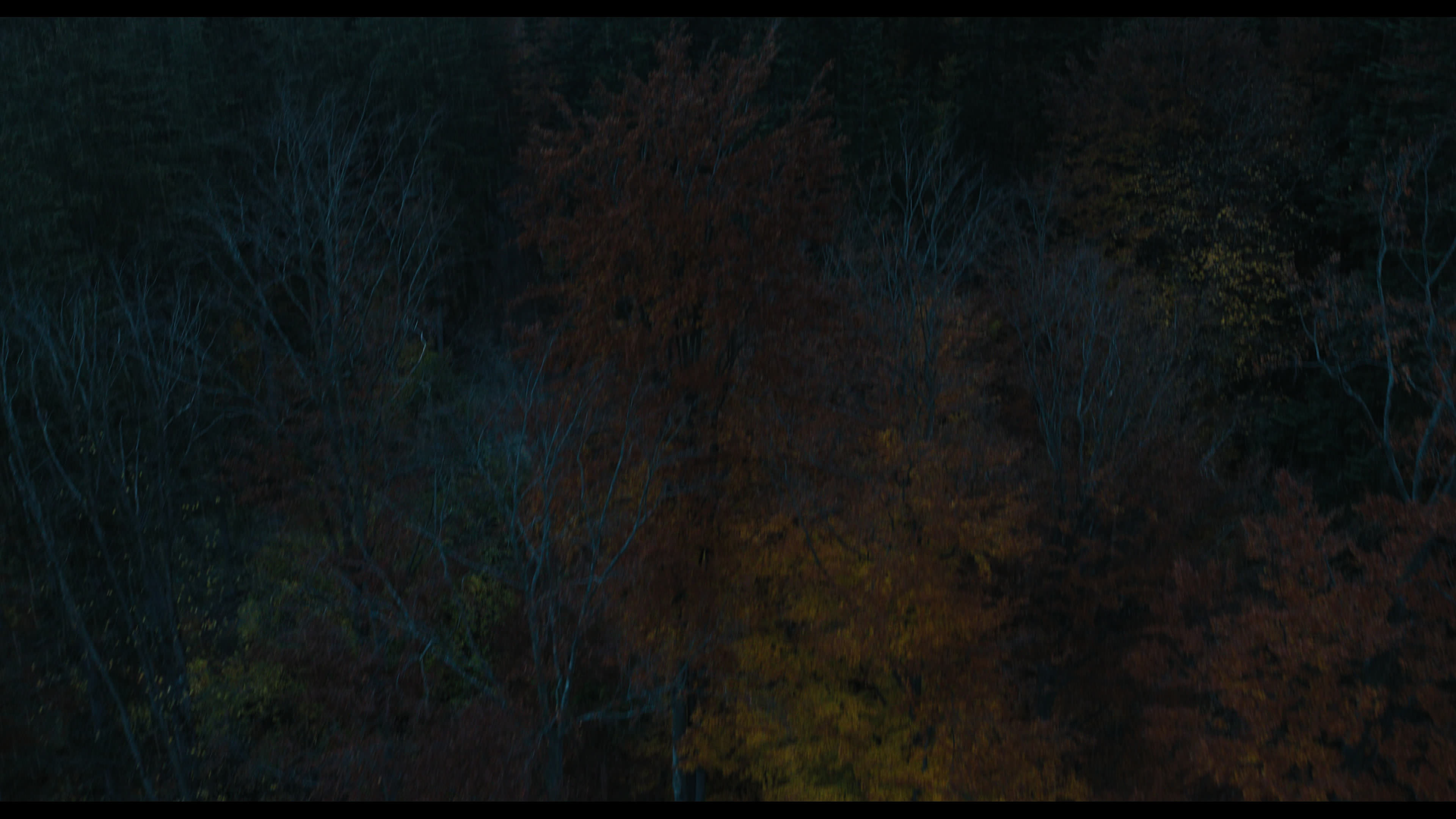 Wednesday S01E01 “Wednesday’s Child Is Full of Woe” HD screenshot 2459