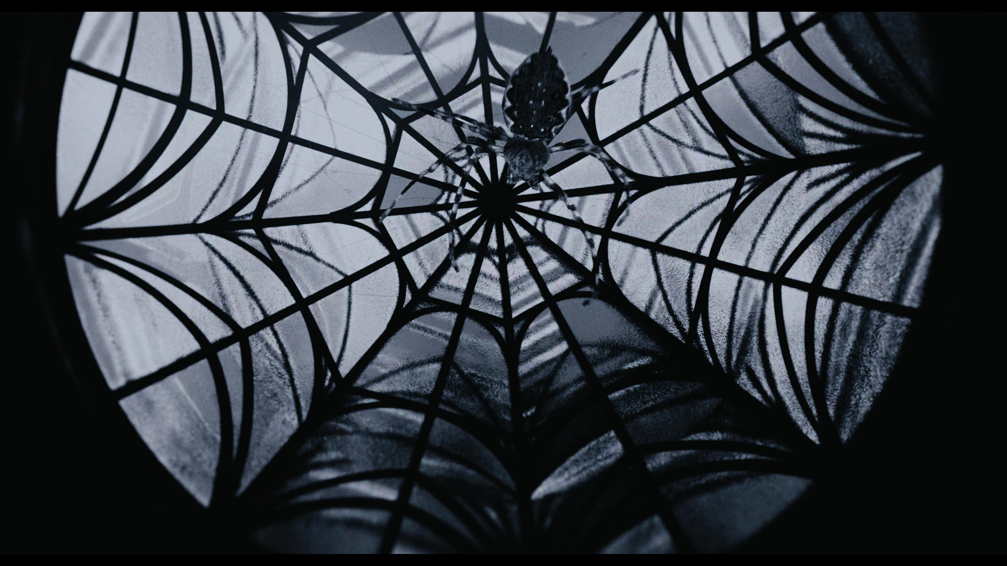 Wednesday S01E01 “Wednesday’s Child Is Full of Woe” HD screenshot 425