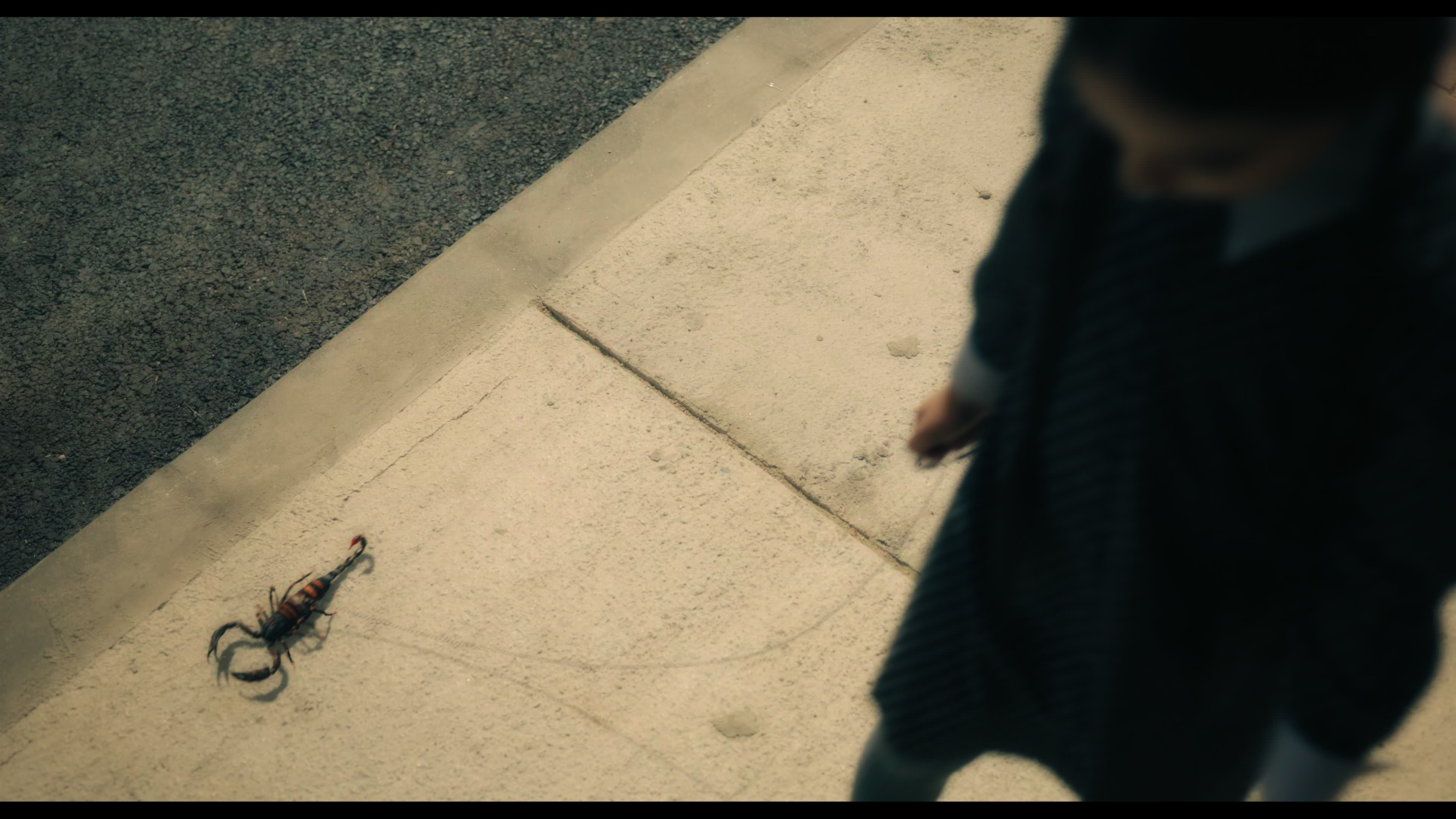 Wednesday S01E01 “Wednesday’s Child Is Full of Woe” screencap 6510