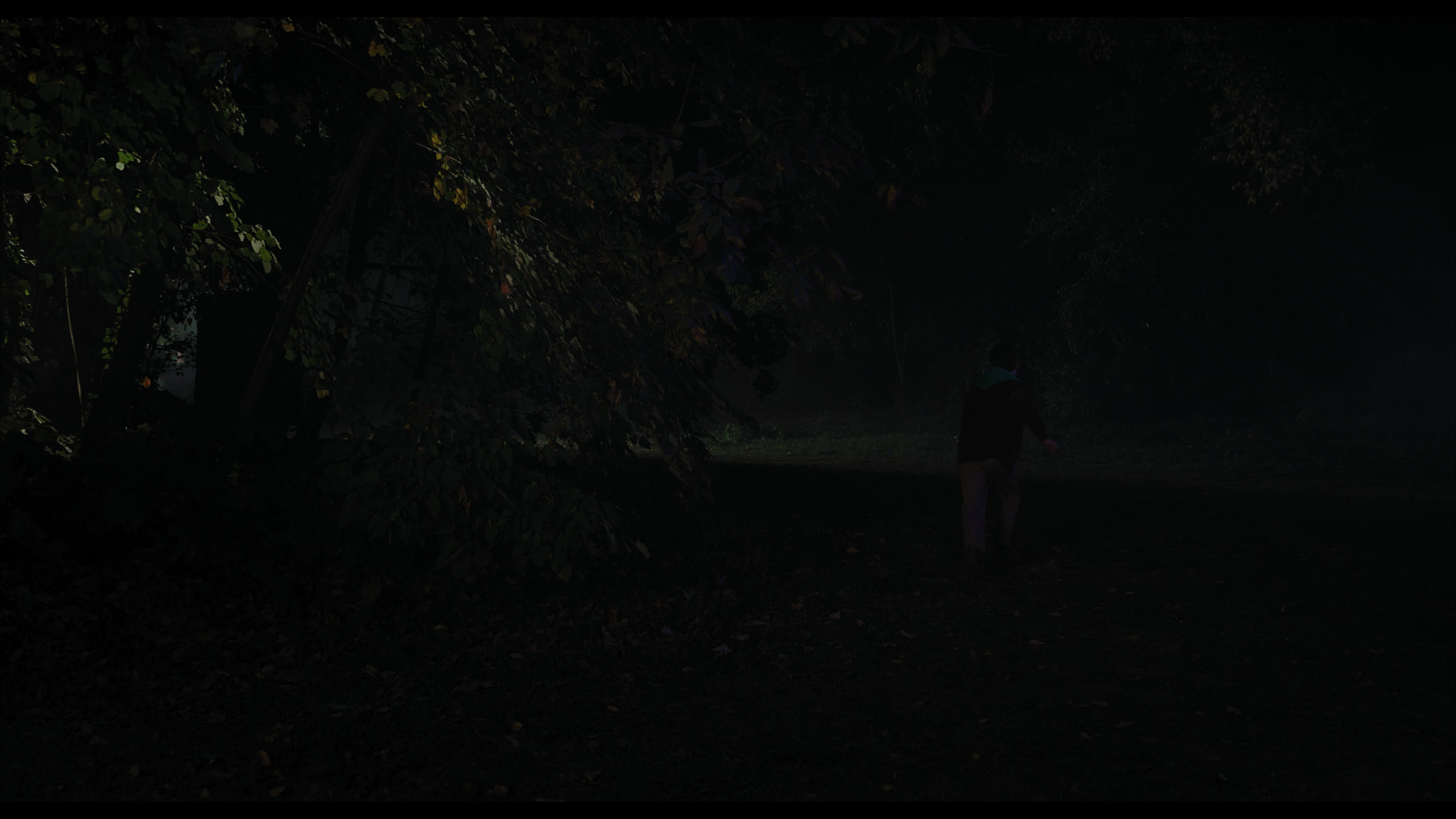 Wednesday S01E01 “Wednesday’s Child Is Full of Woe” HD screenshot 7463