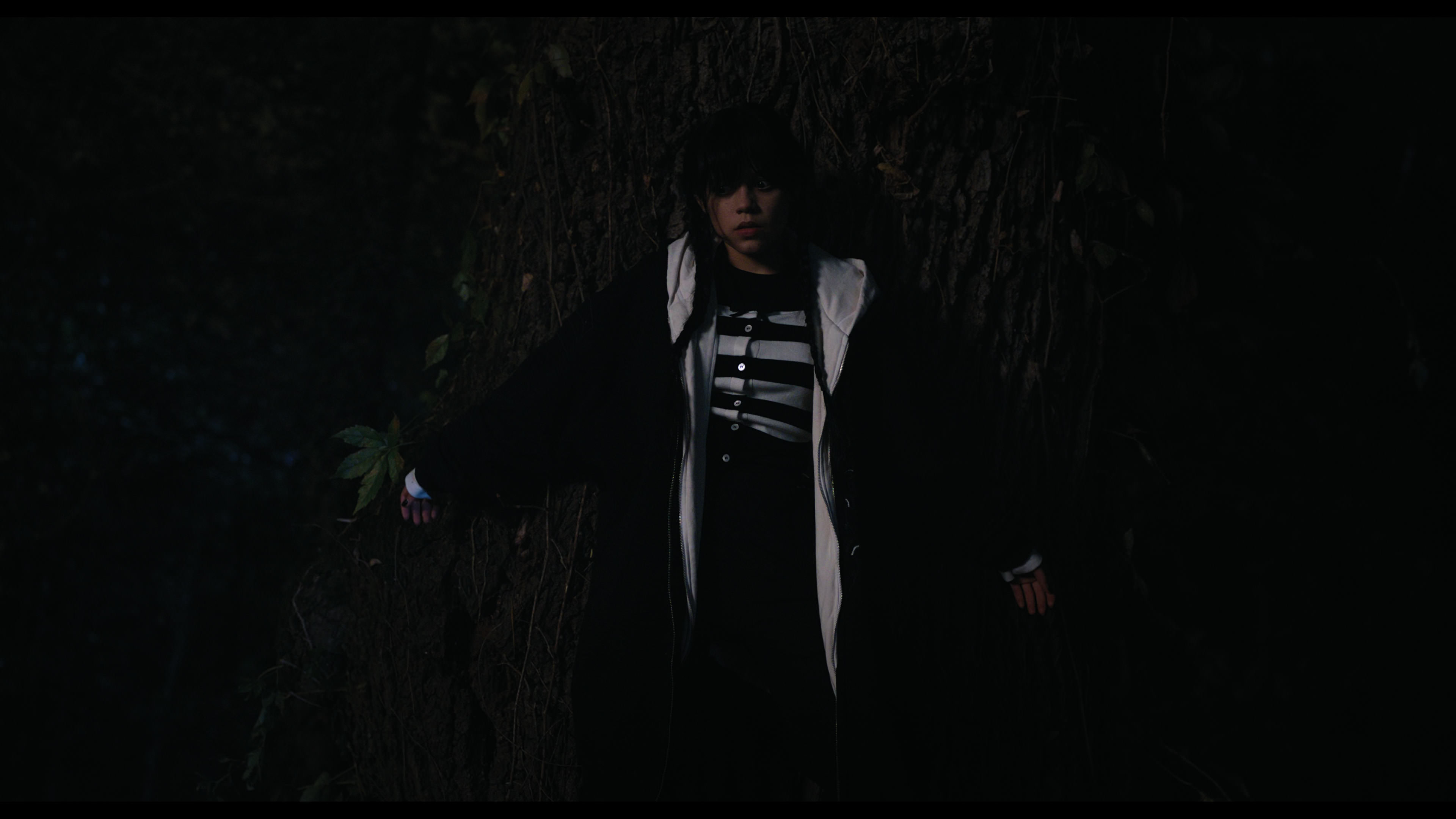 Wednesday S01E01 “Wednesday’s Child Is Full of Woe” screencap 7587