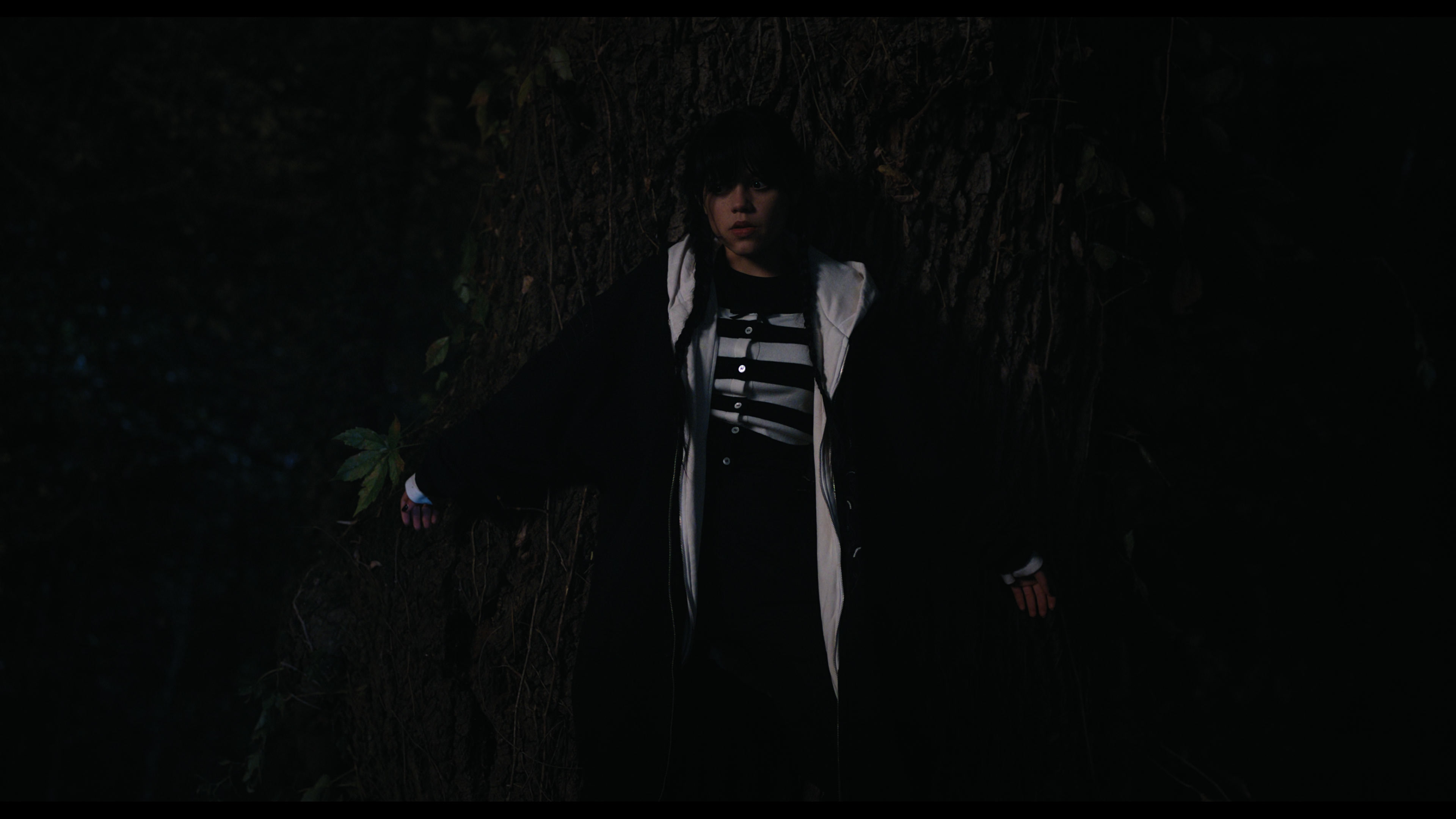 Wednesday S01E01 “Wednesday’s Child Is Full of Woe” HD screenshot 7589