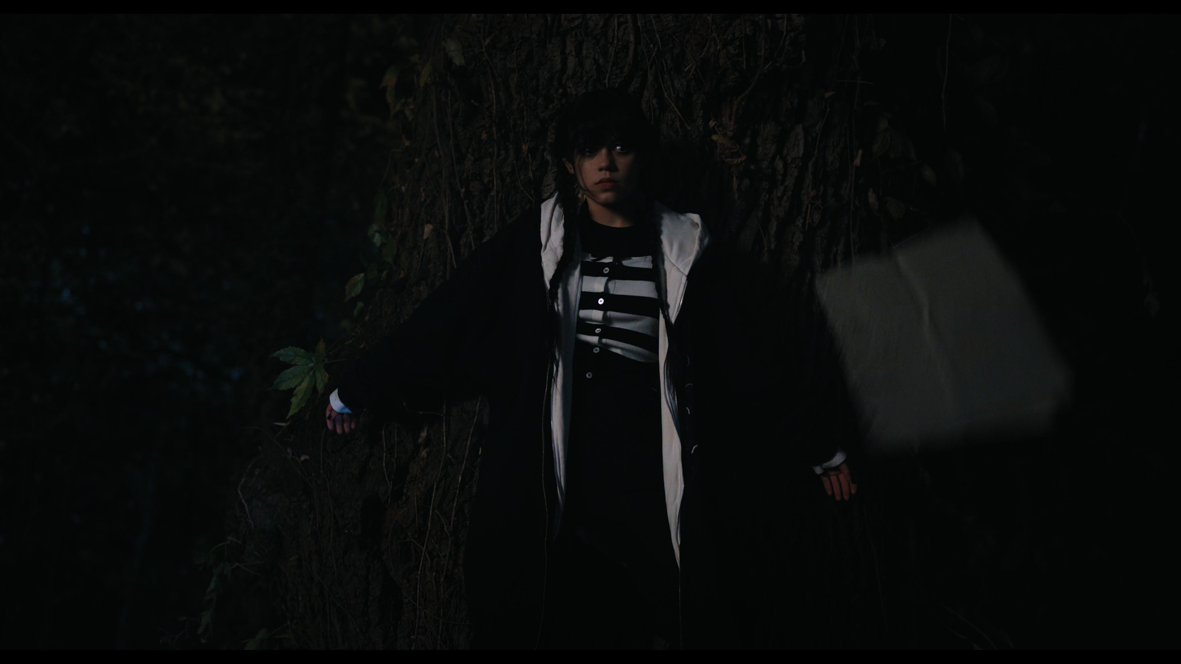 Wednesday S01E01 “Wednesday’s Child Is Full of Woe” HD screenshot 7601
