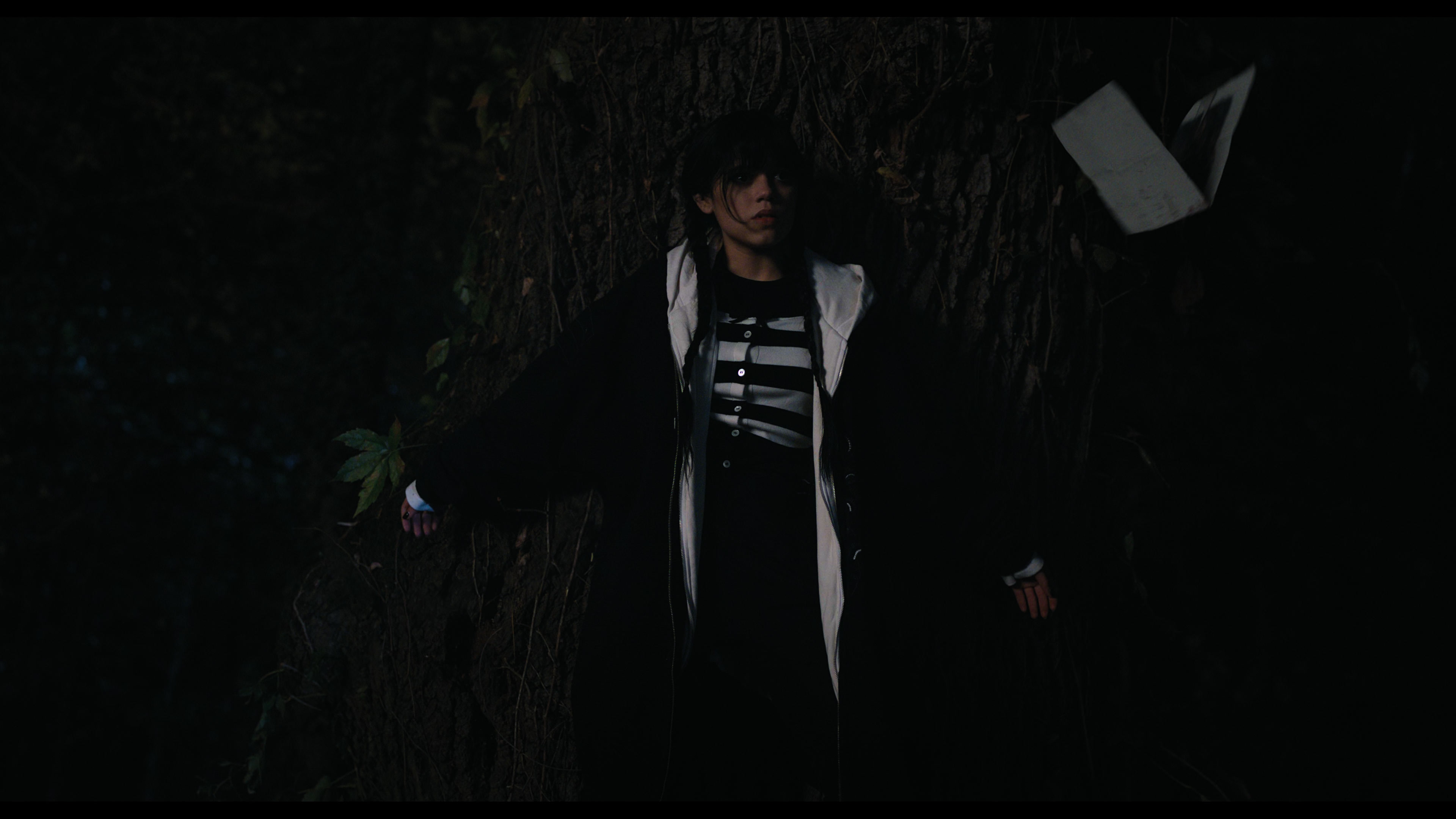 Wednesday S01E01 “Wednesday’s Child Is Full of Woe” screencap 7602