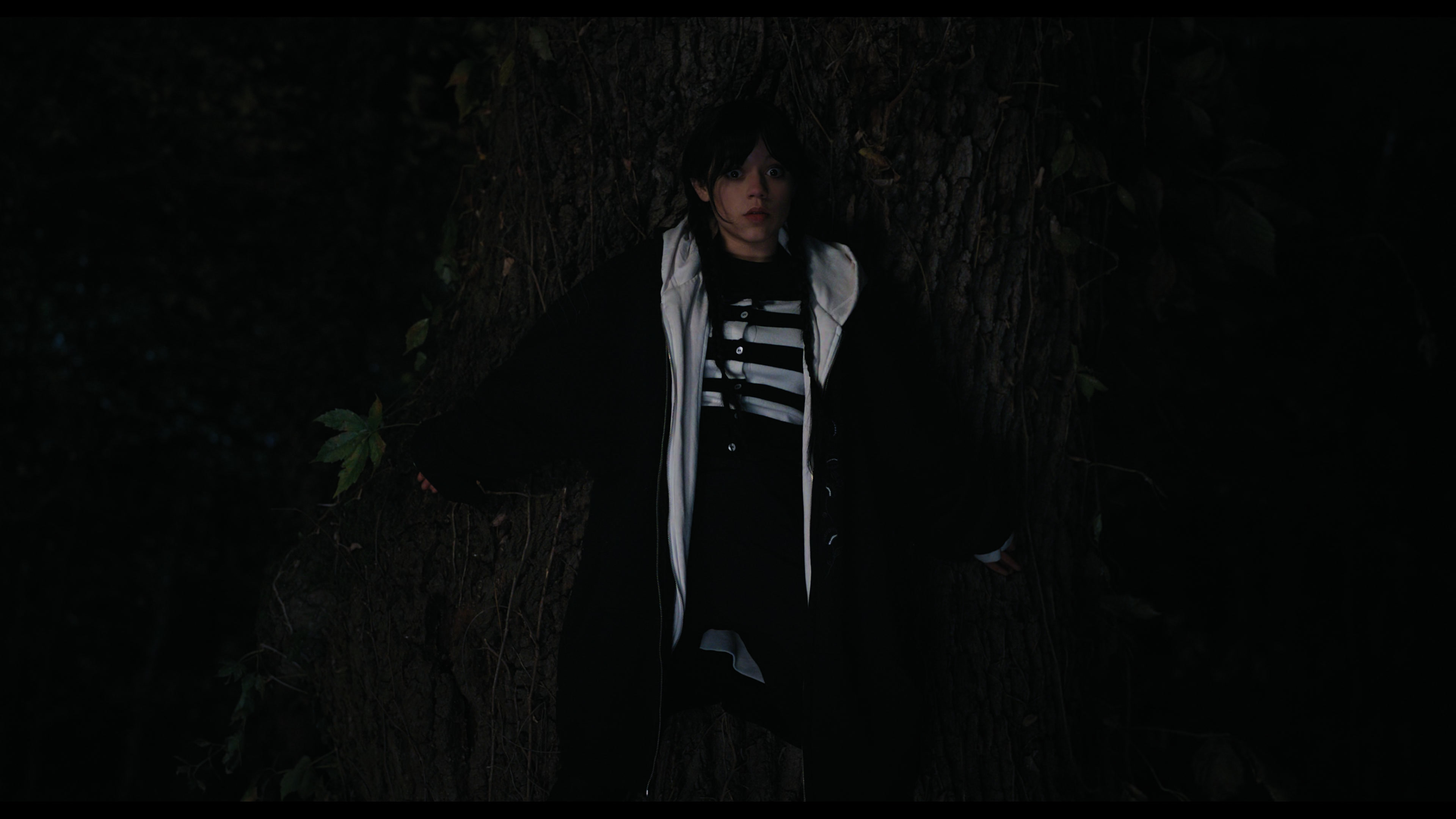 Wednesday S01E01 “Wednesday’s Child Is Full of Woe” screencap 7653