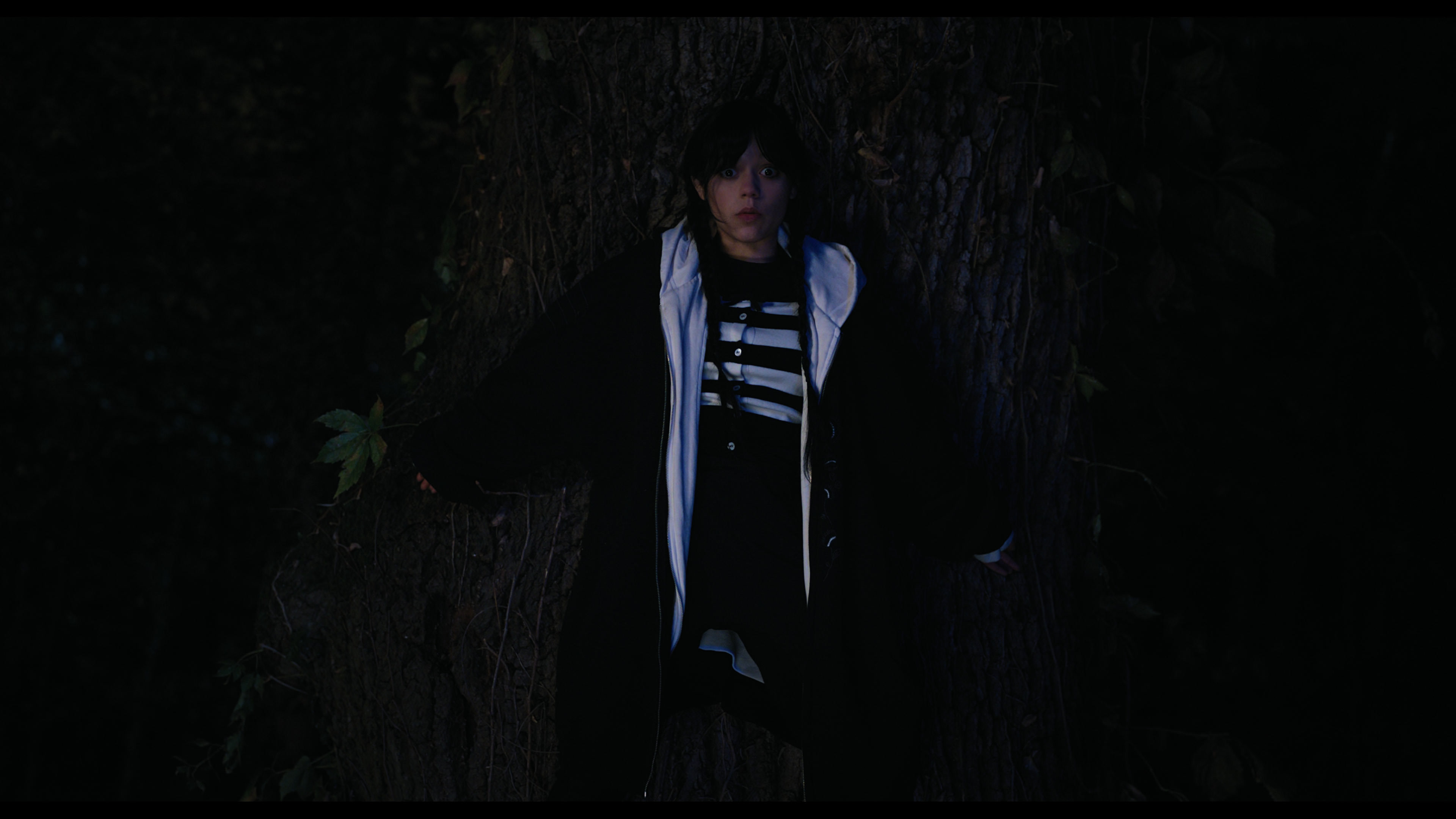 Wednesday S01E01 “Wednesday’s Child Is Full of Woe” HD screenshot 7655