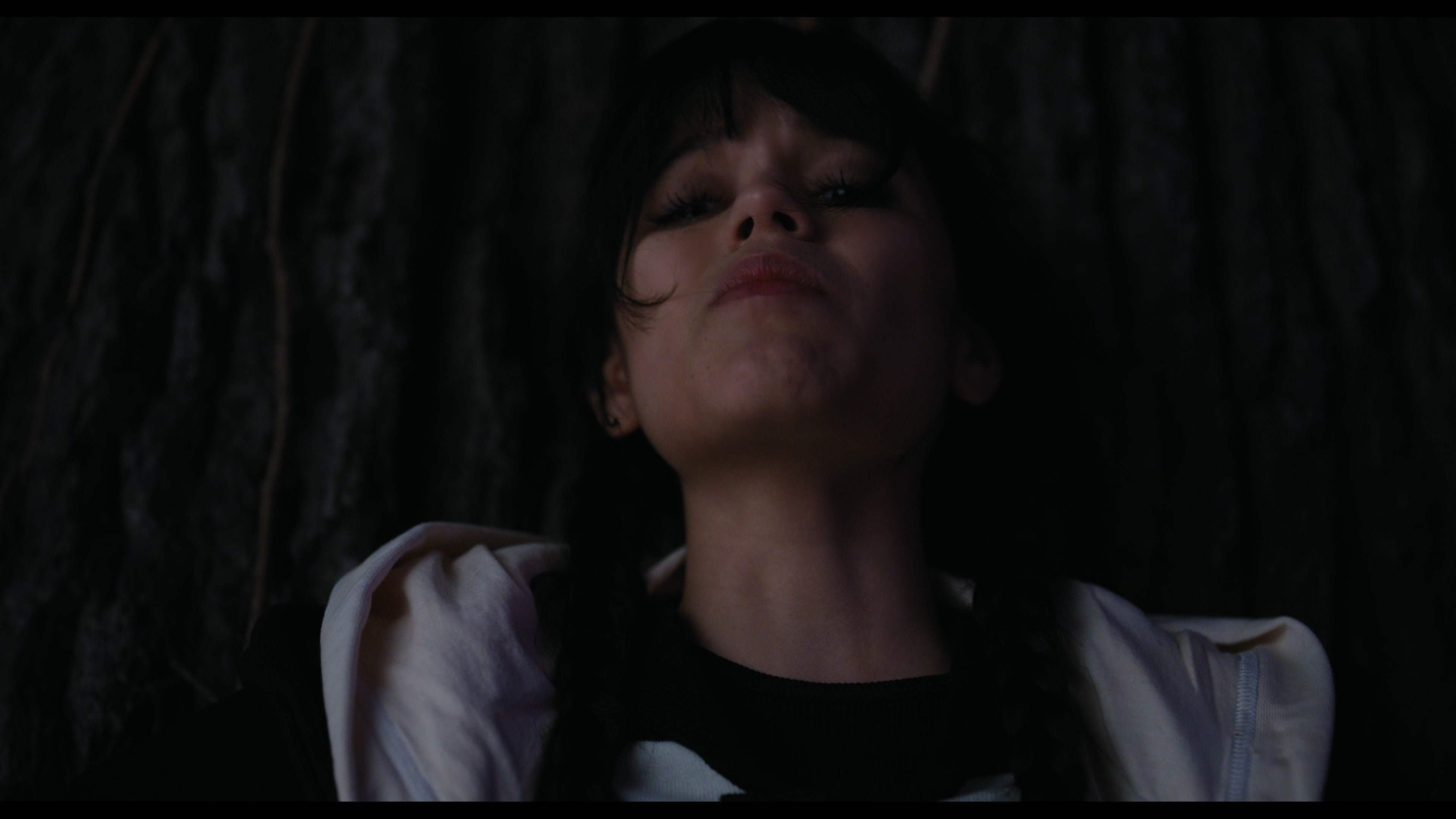 Wednesday S01E01 “Wednesday’s Child Is Full of Woe” HD screenshot 7697