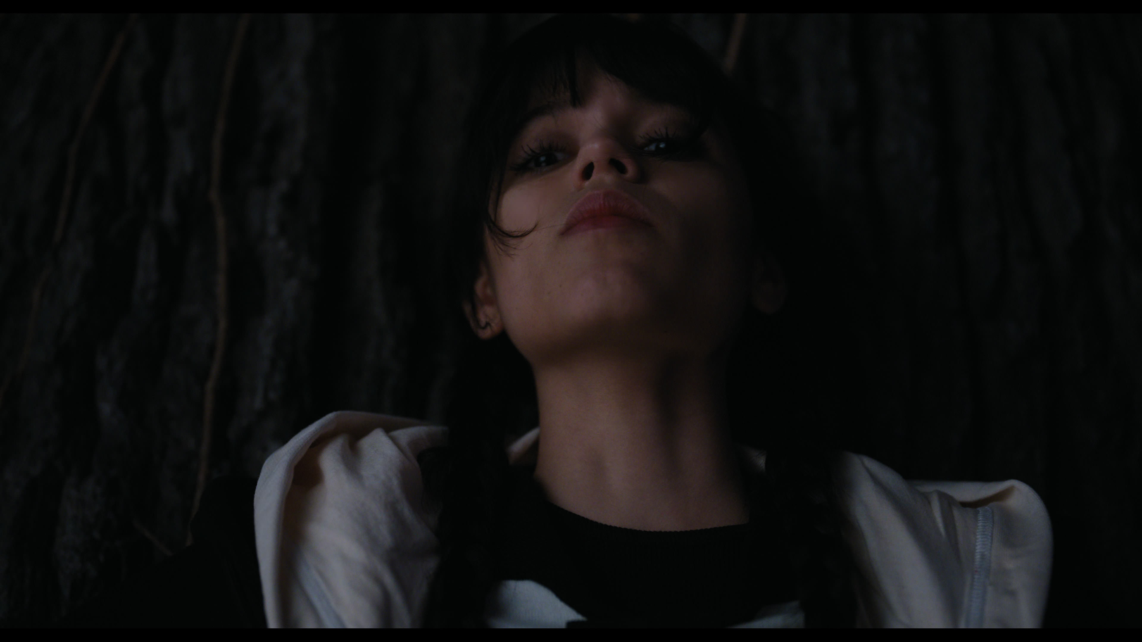 Wednesday S01E01 “Wednesday’s Child Is Full of Woe” screencap 7698