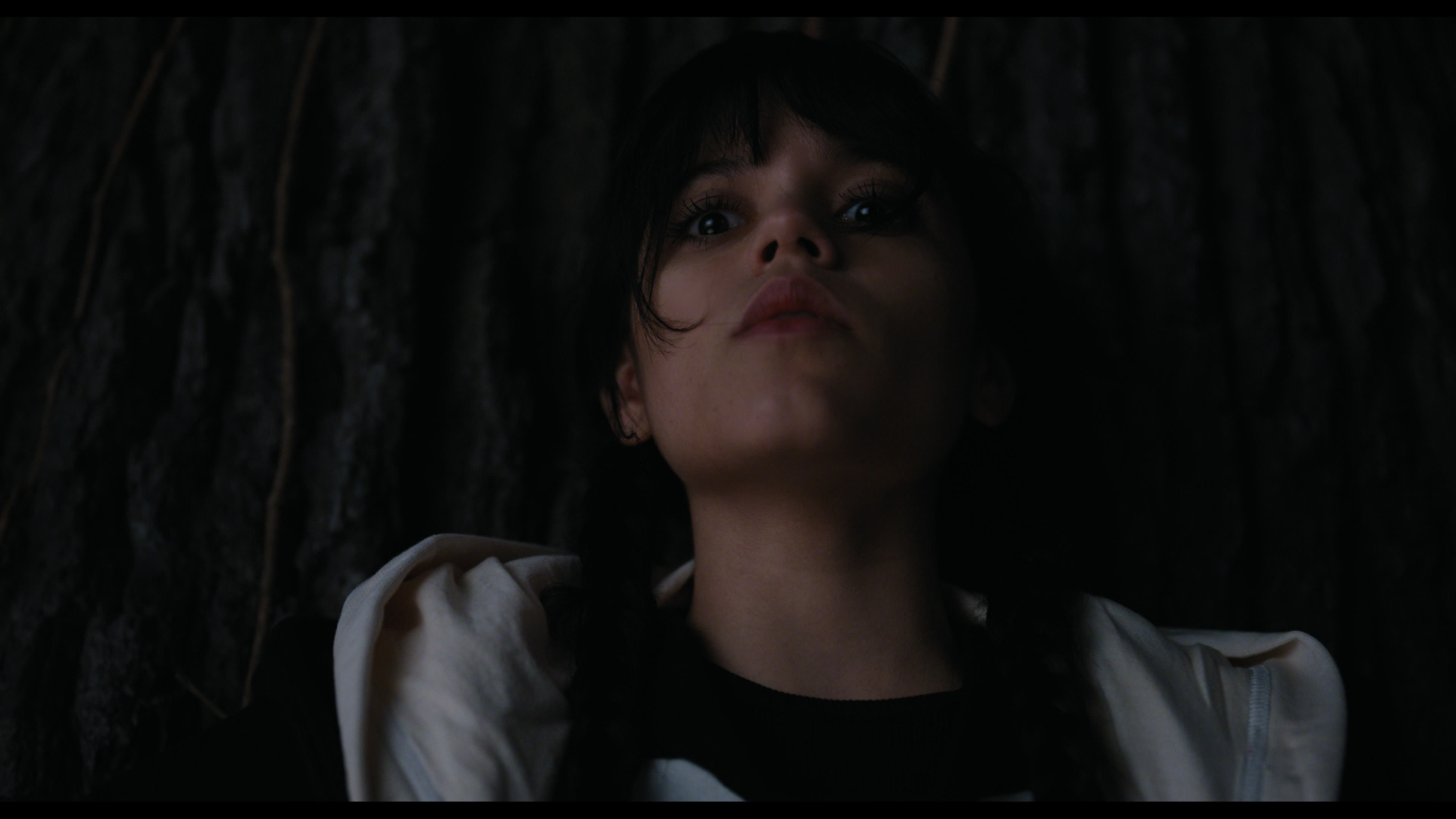 Wednesday S01E01 “Wednesday’s Child Is Full of Woe” screencap 7701