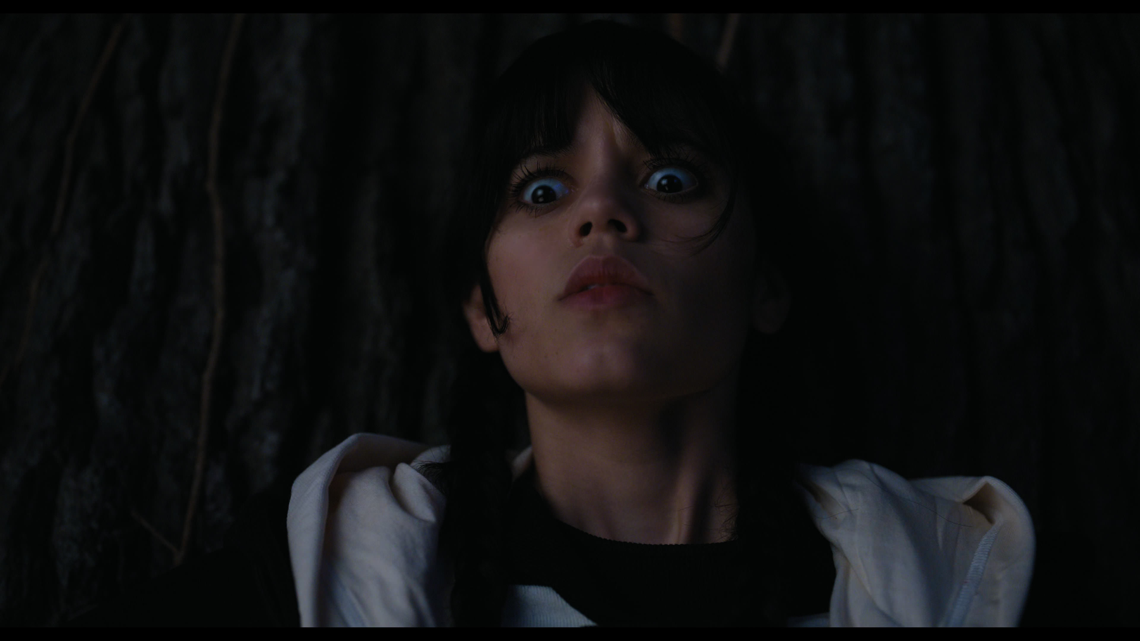 Wednesday S01E01 “Wednesday’s Child Is Full of Woe” HD screenshot 7706