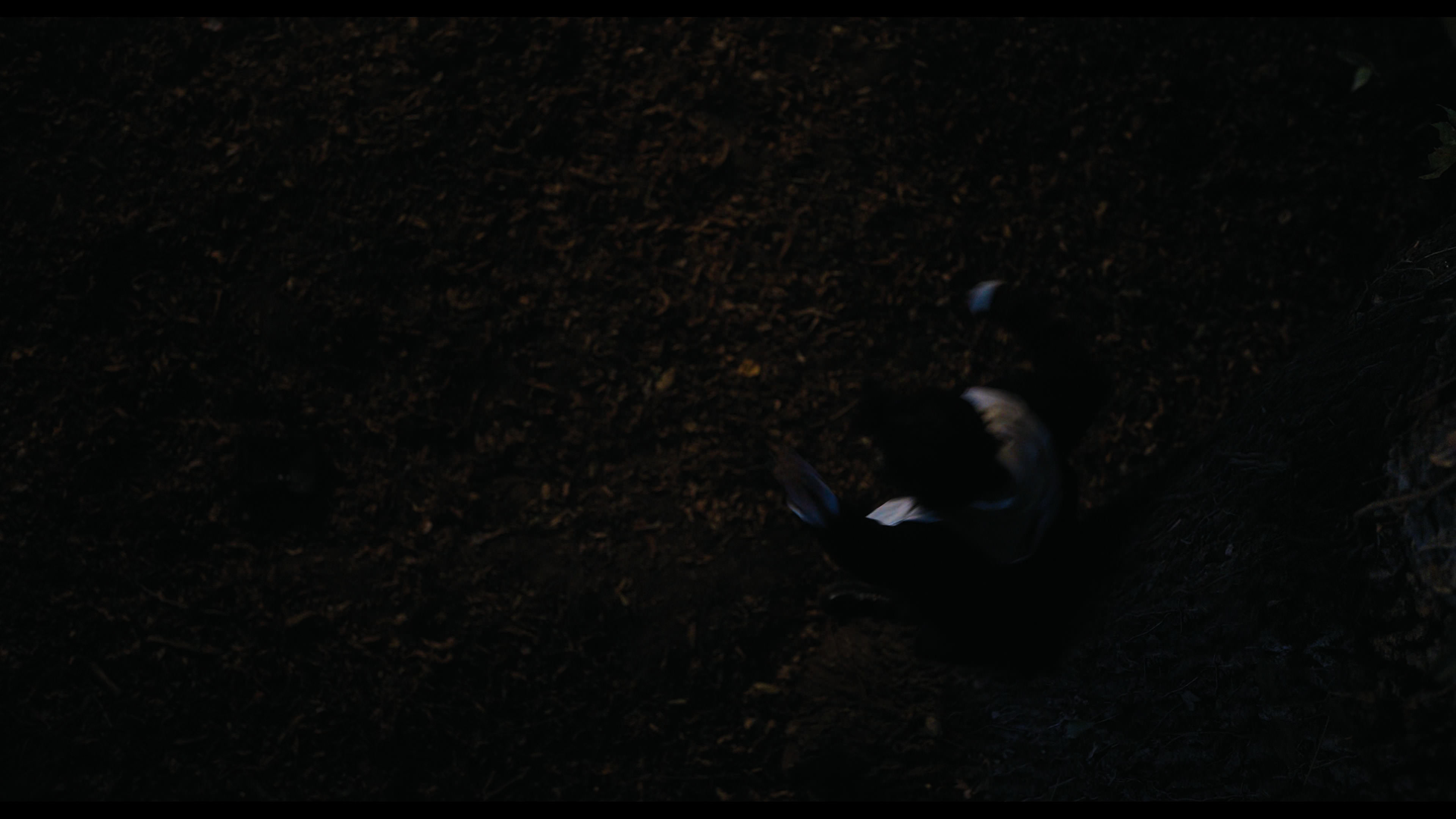 Wednesday S01E01 “Wednesday’s Child Is Full of Woe” movie still 7717