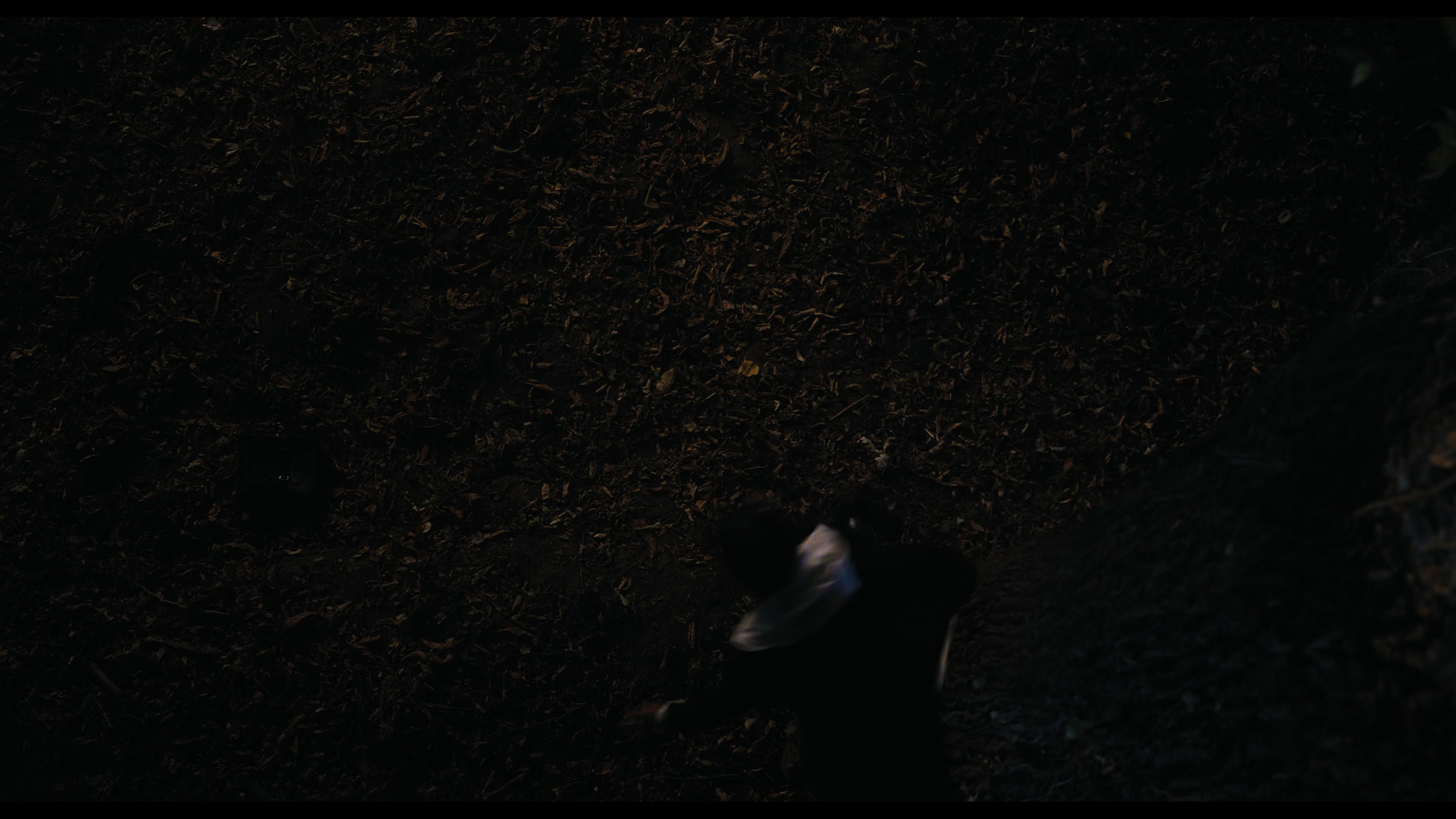 Wednesday S01E01 “Wednesday’s Child Is Full of Woe” HD screenshot 7718