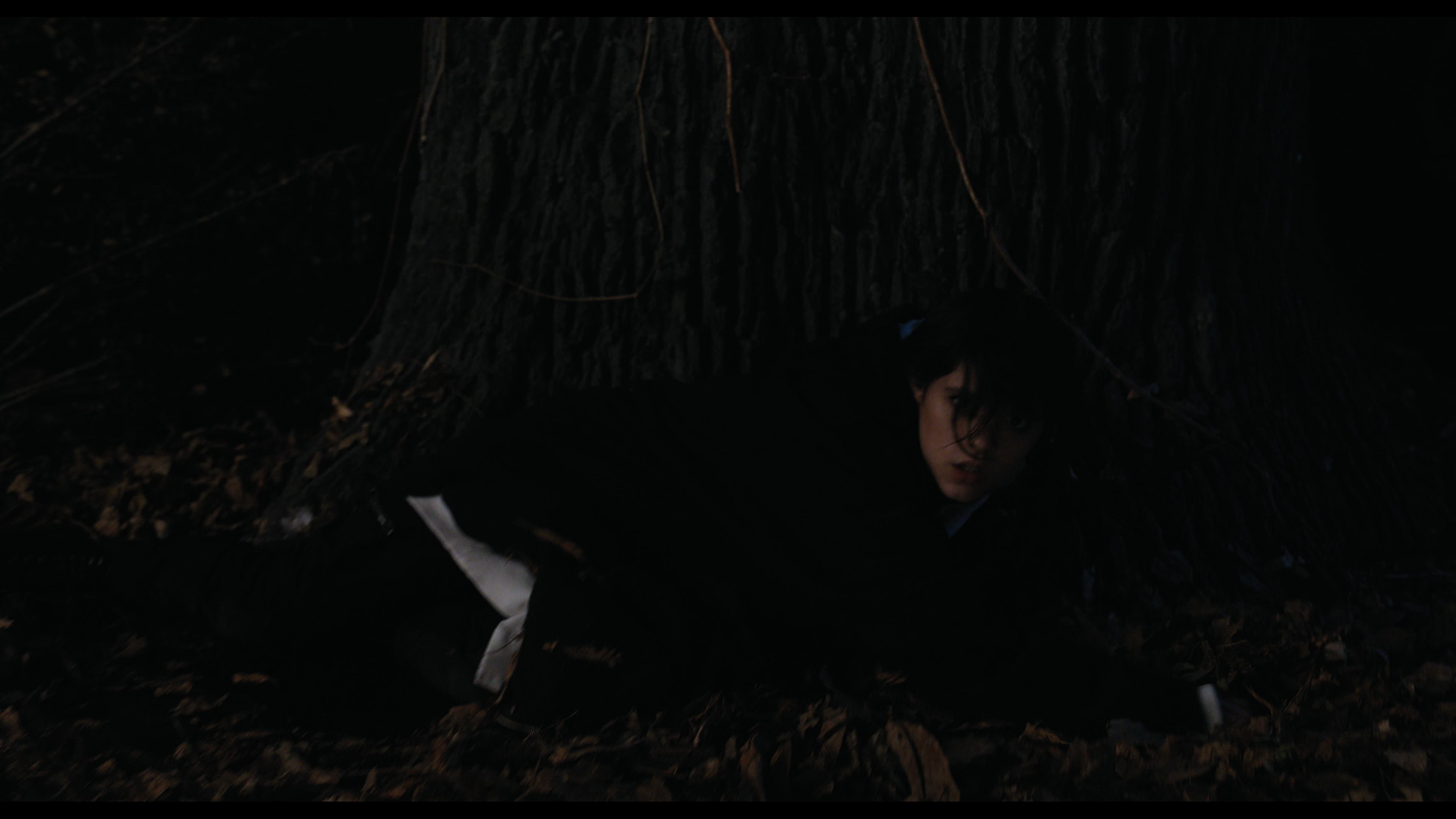 Wednesday S01E01 “Wednesday’s Child Is Full of Woe” screencap 7725
