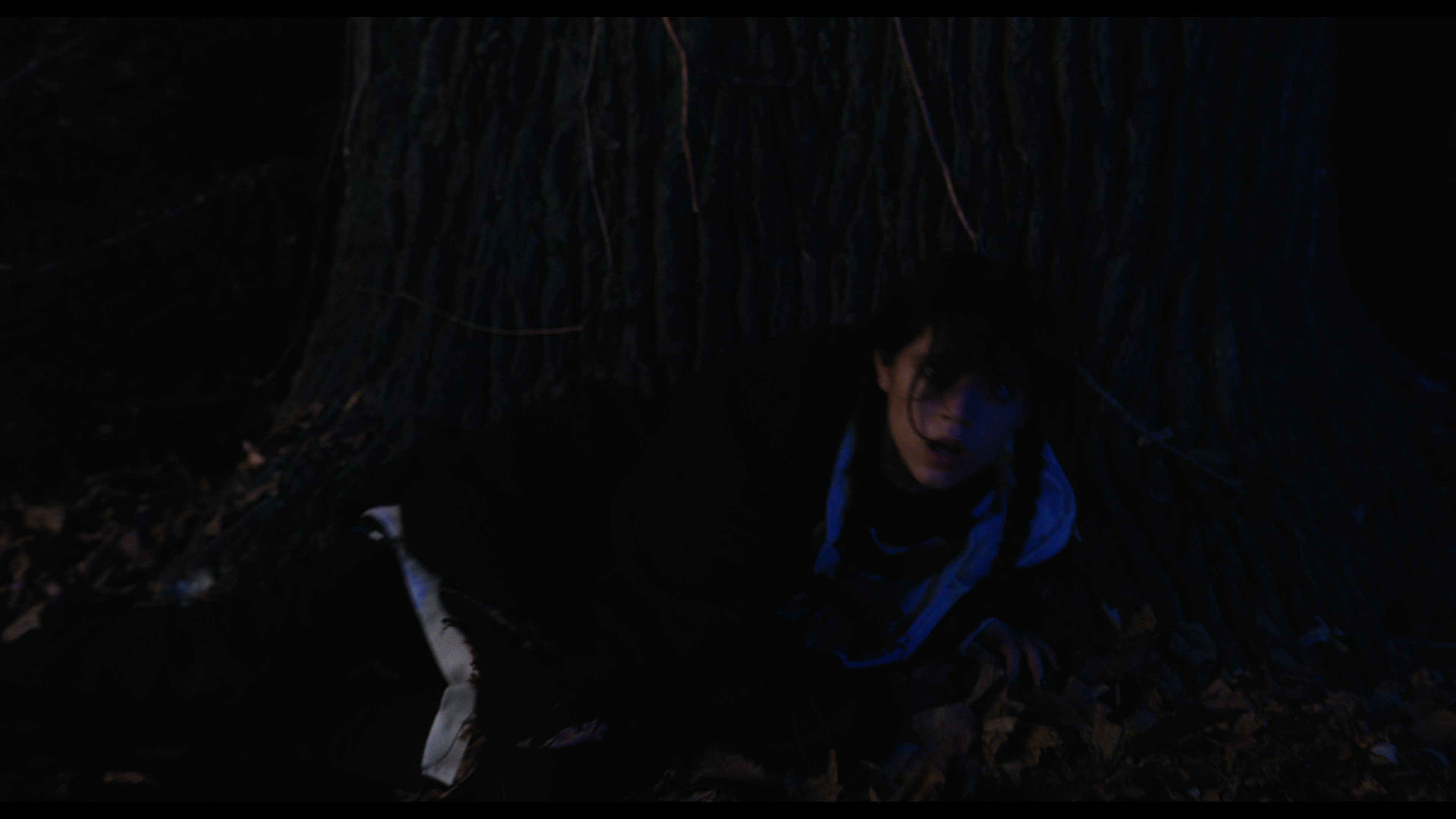 Wednesday S01E01 “Wednesday’s Child Is Full of Woe” movie still 7726