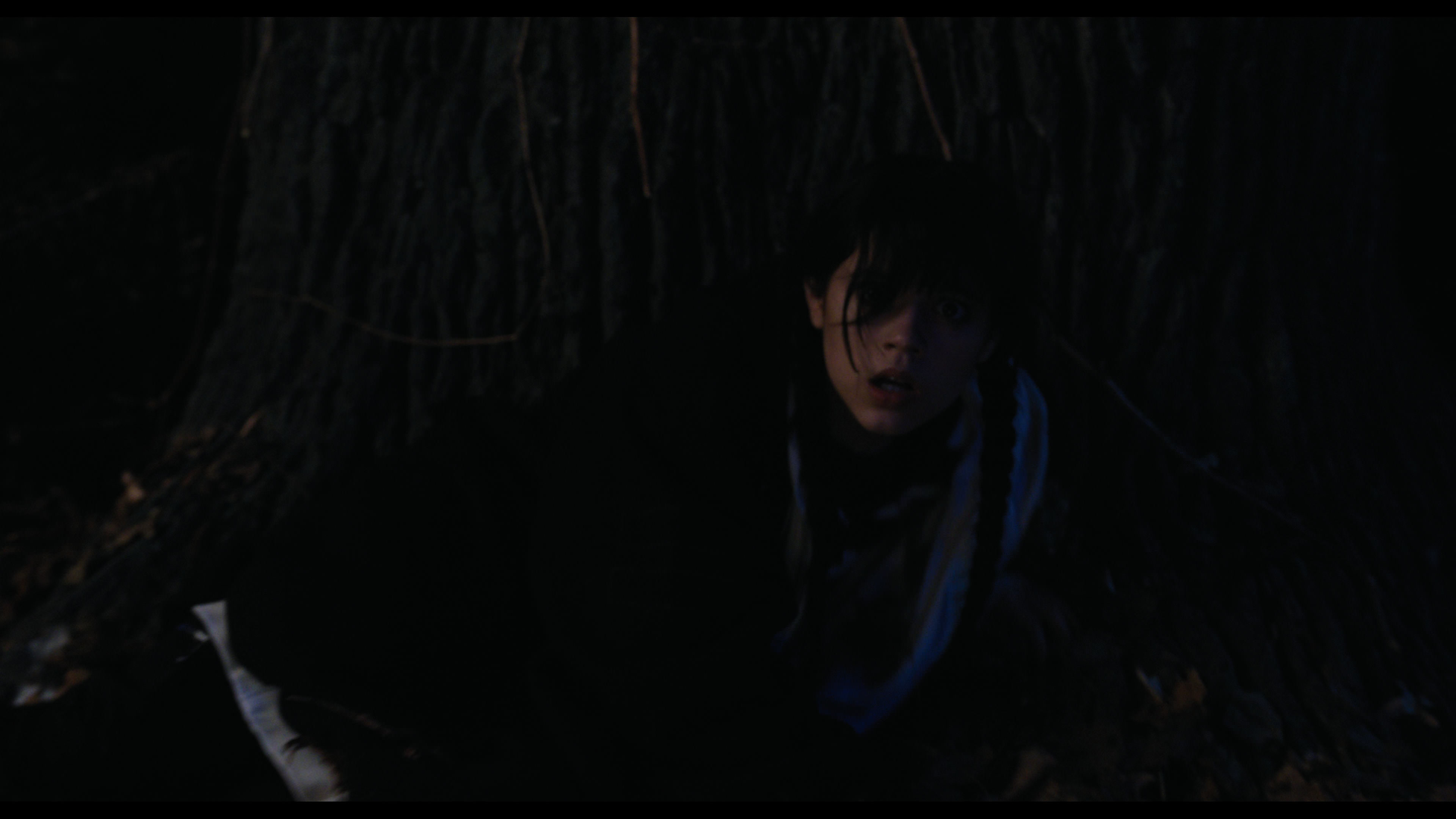 Wednesday S01E01 “Wednesday’s Child Is Full of Woe” HD screenshot 7727