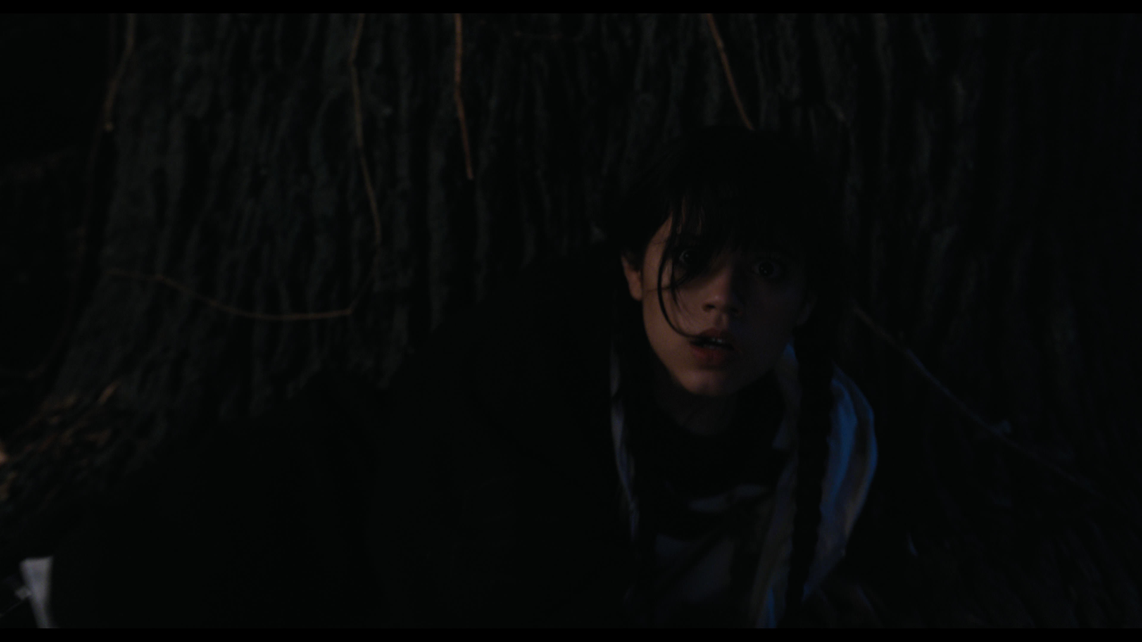 Wednesday S01E01 “Wednesday’s Child Is Full of Woe” screencap 7728