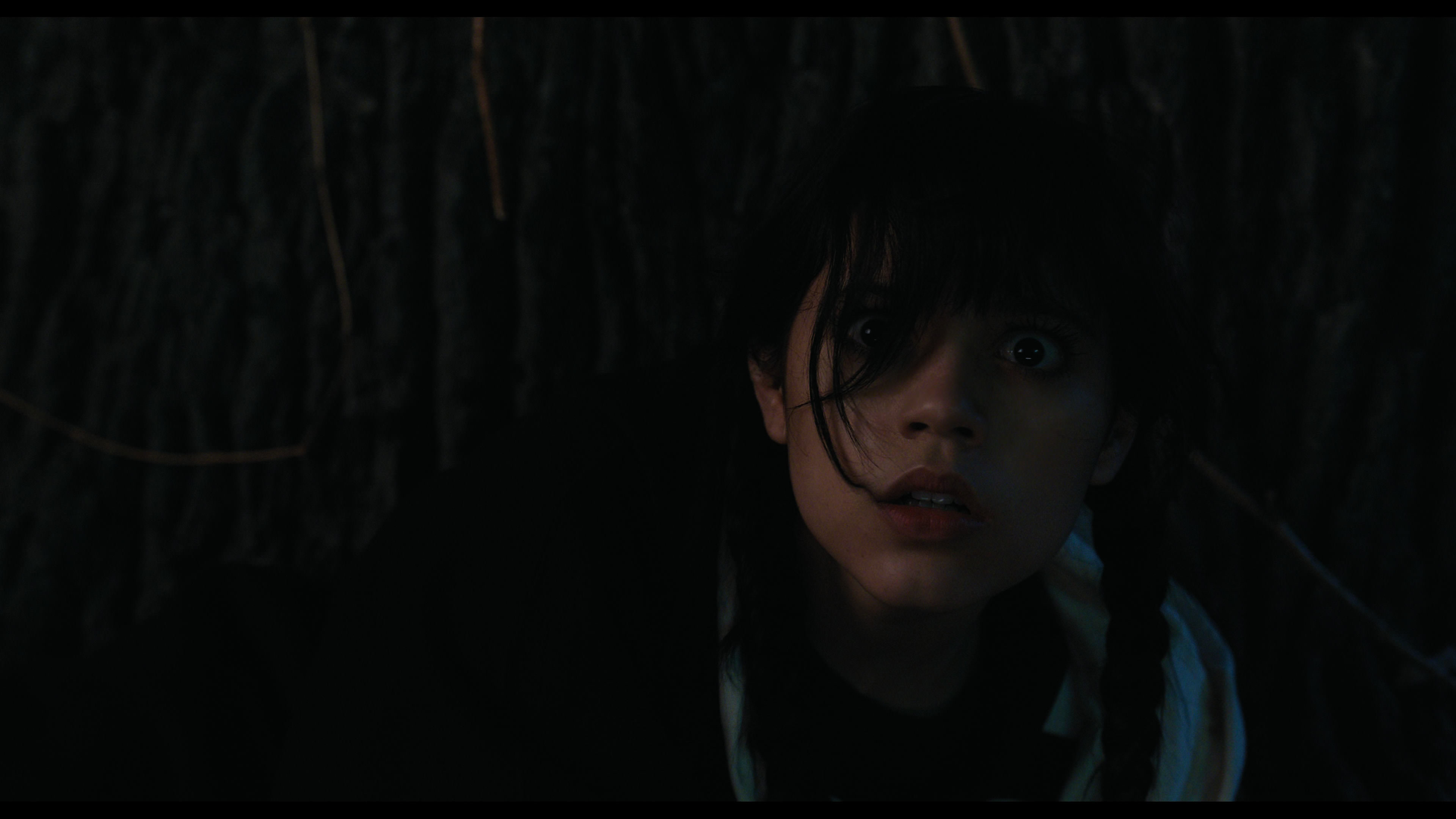 Wednesday S01E01 “Wednesday’s Child Is Full of Woe” HD screenshot 7730