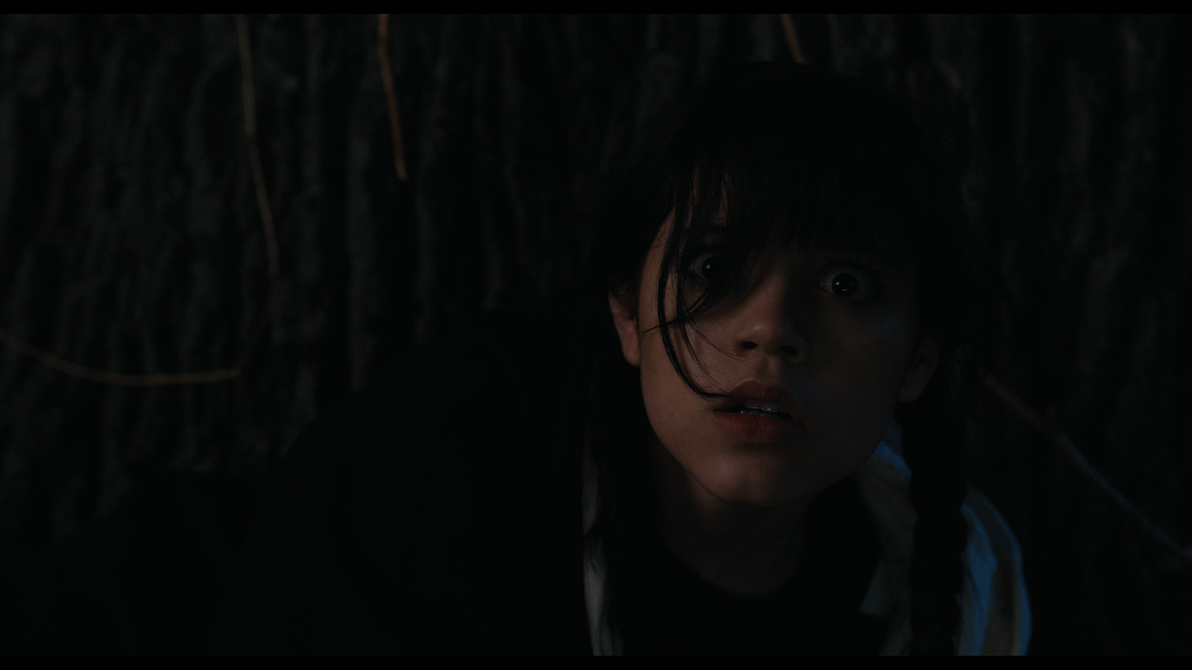 Wednesday S01E01 “Wednesday’s Child Is Full of Woe” screencap 7731
