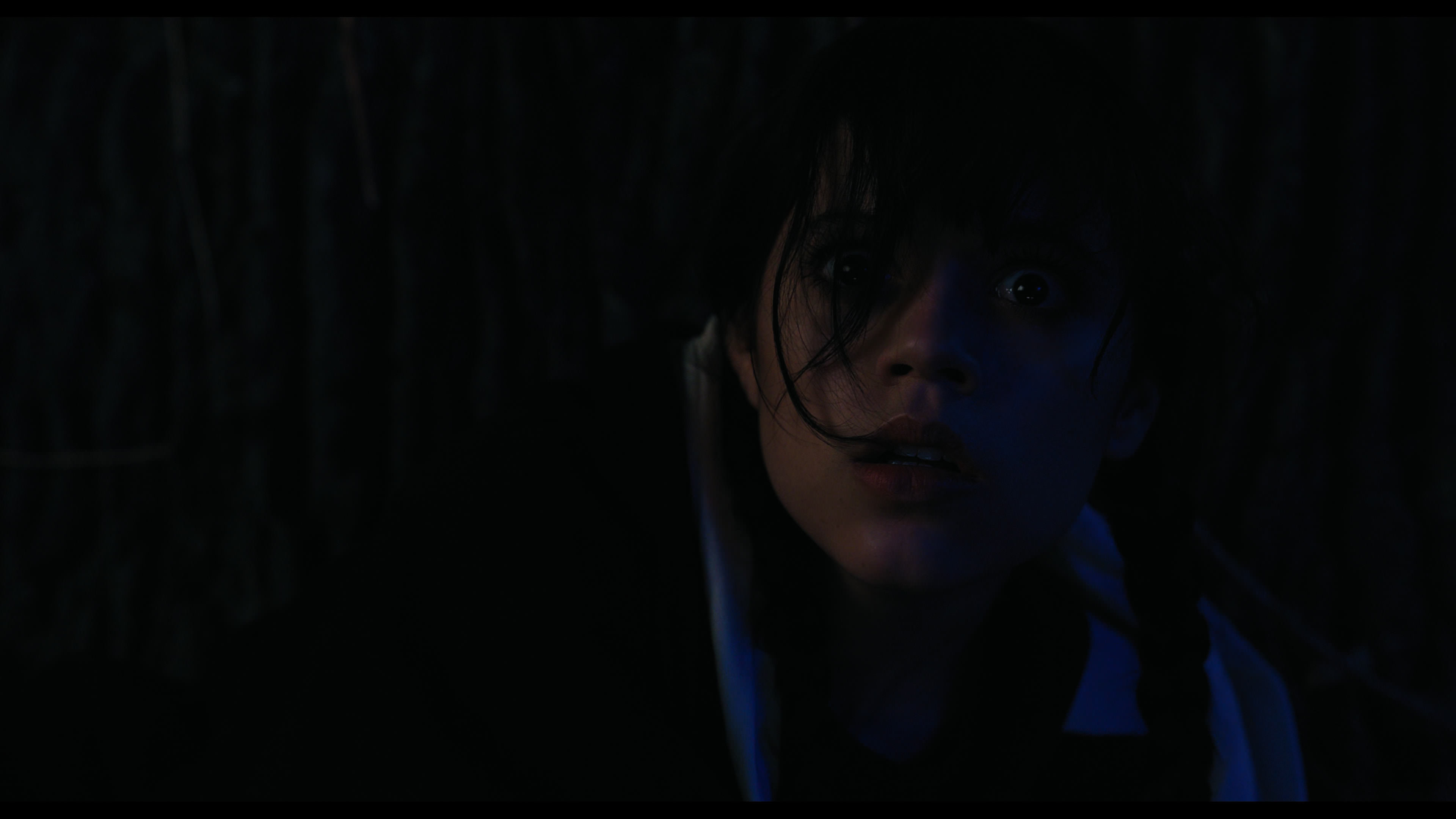 Wednesday S01E01 “Wednesday’s Child Is Full of Woe” HD screenshot 7742