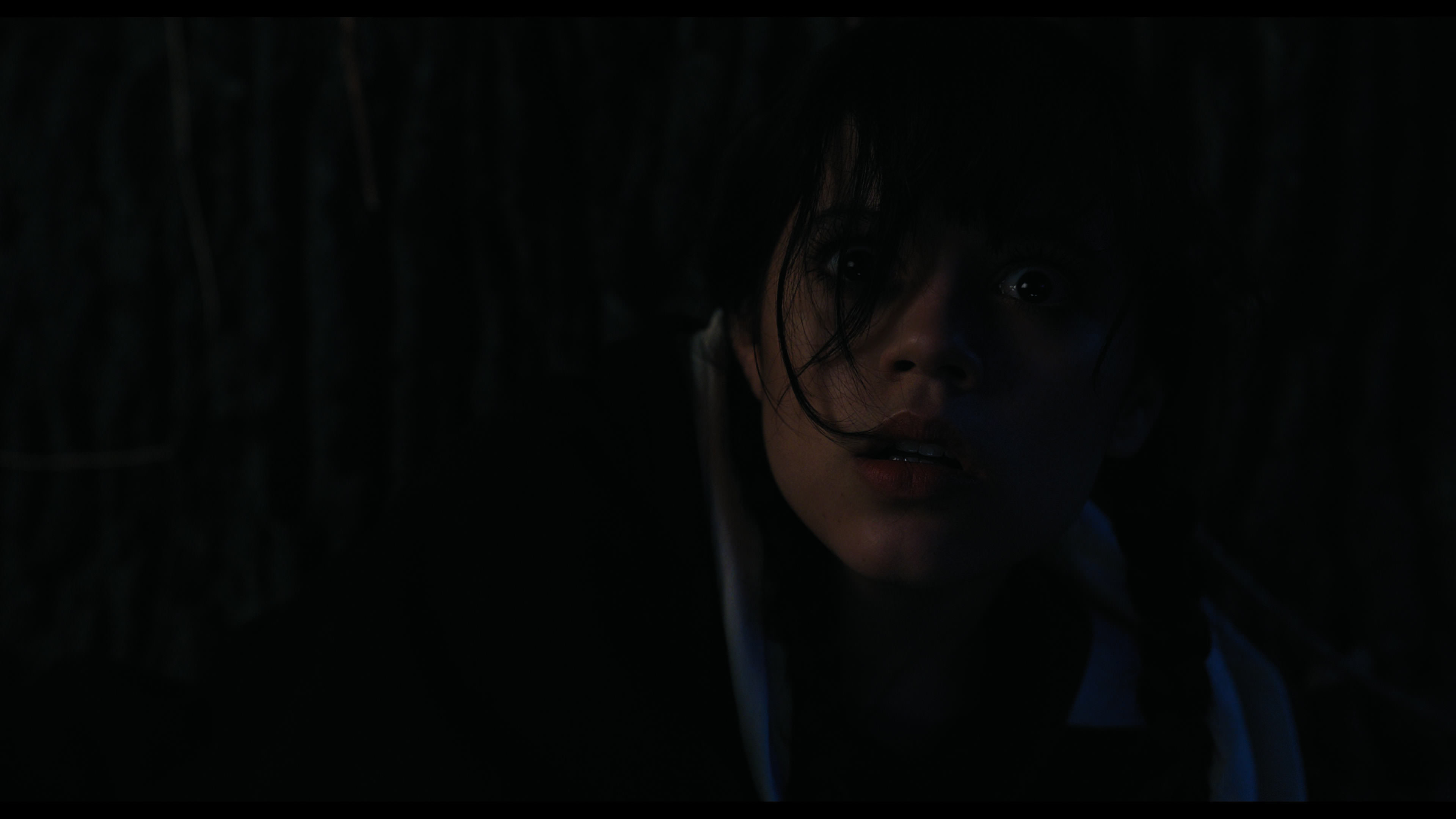Wednesday S01E01 “Wednesday’s Child Is Full of Woe” screencap 7743