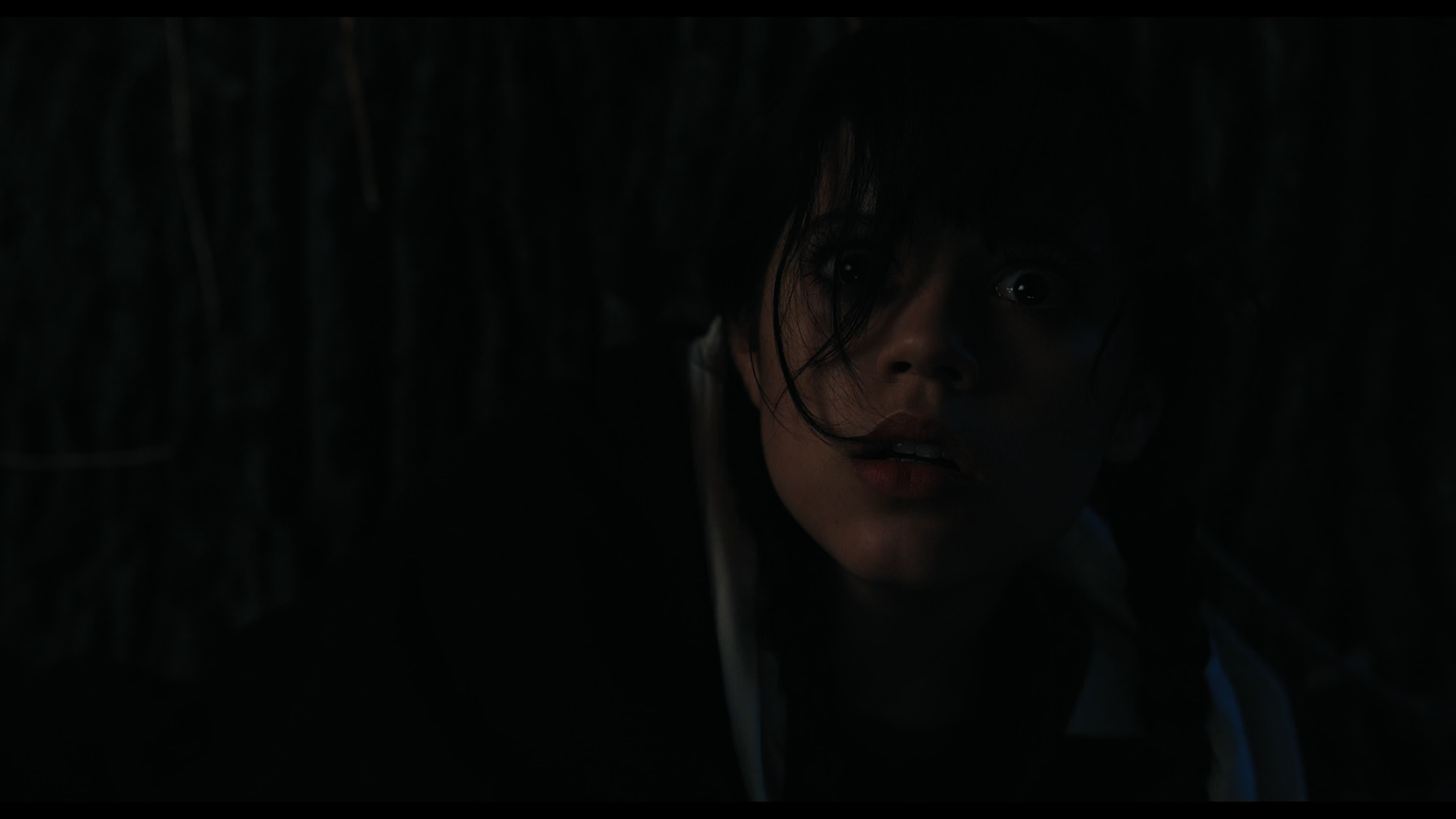 Wednesday S01E01 “Wednesday’s Child Is Full of Woe” HD screenshot 7745