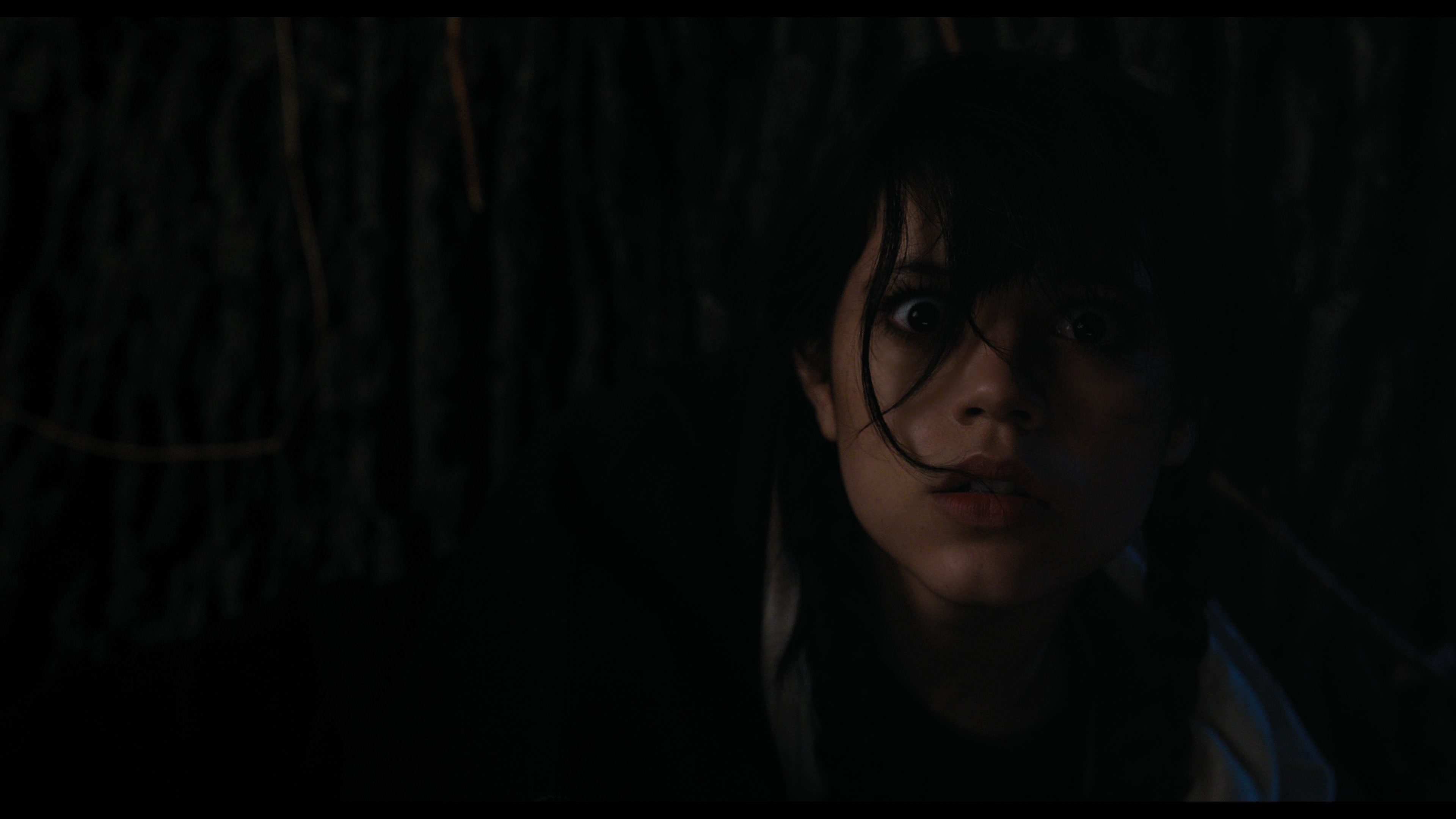 Wednesday S01E01 “Wednesday’s Child Is Full of Woe” screencap 7755