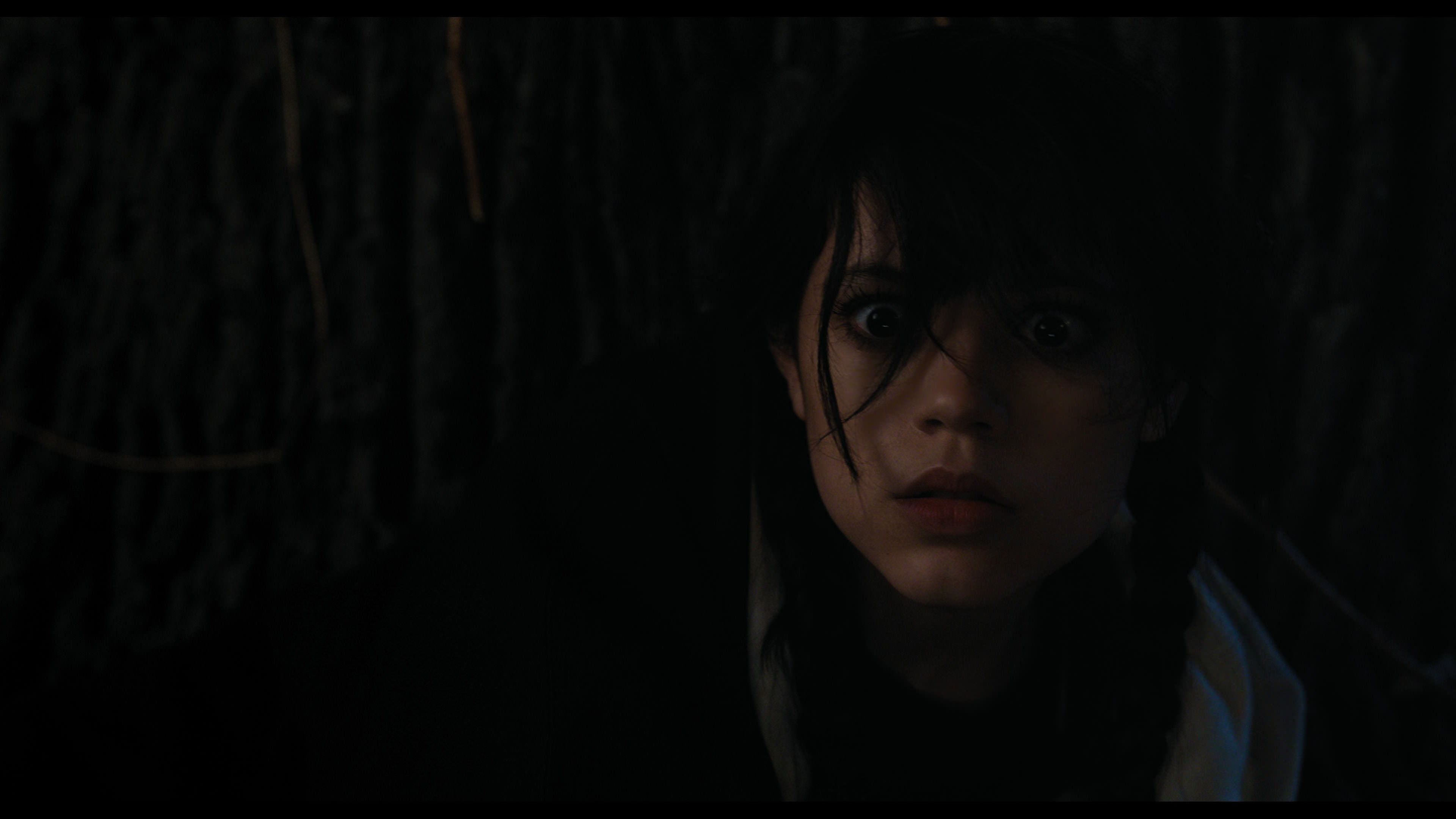 Wednesday S01E01 “Wednesday’s Child Is Full of Woe” HD screenshot 7757