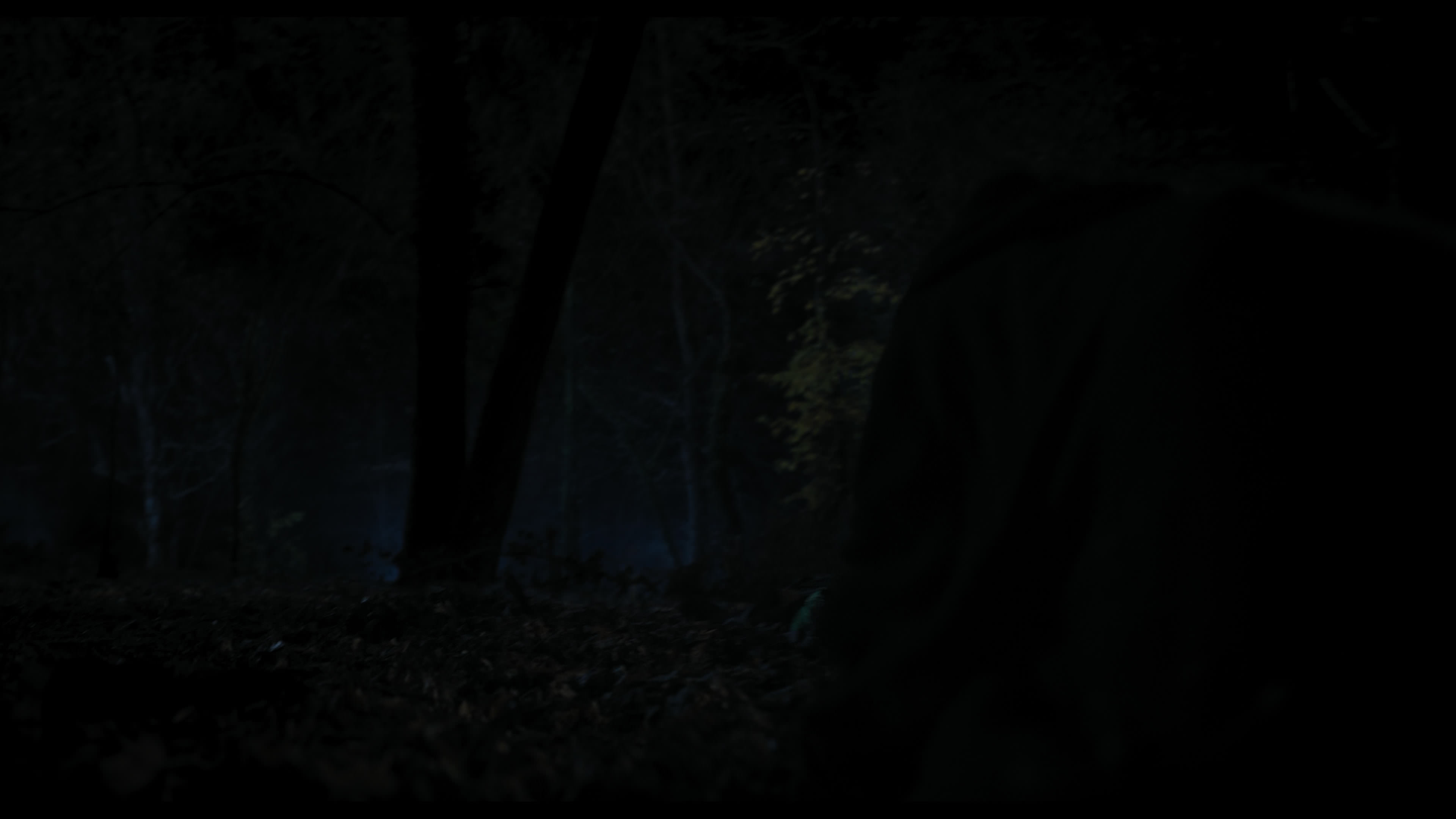 Wednesday S01E01 “Wednesday’s Child Is Full of Woe” HD screenshot 7760
