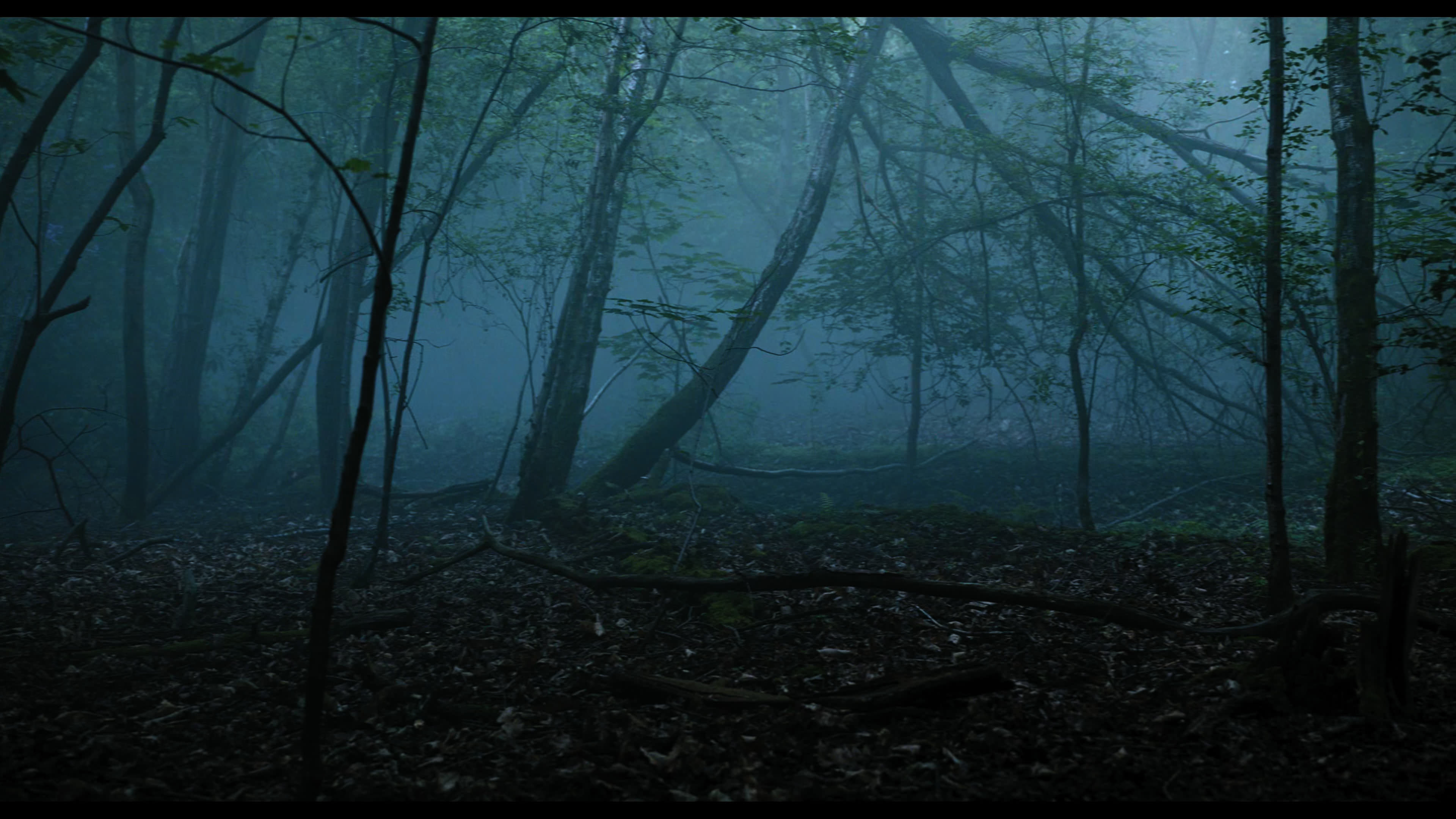 Wednesday S01E01 “Wednesday’s Child Is Full of Woe” screencap 984
