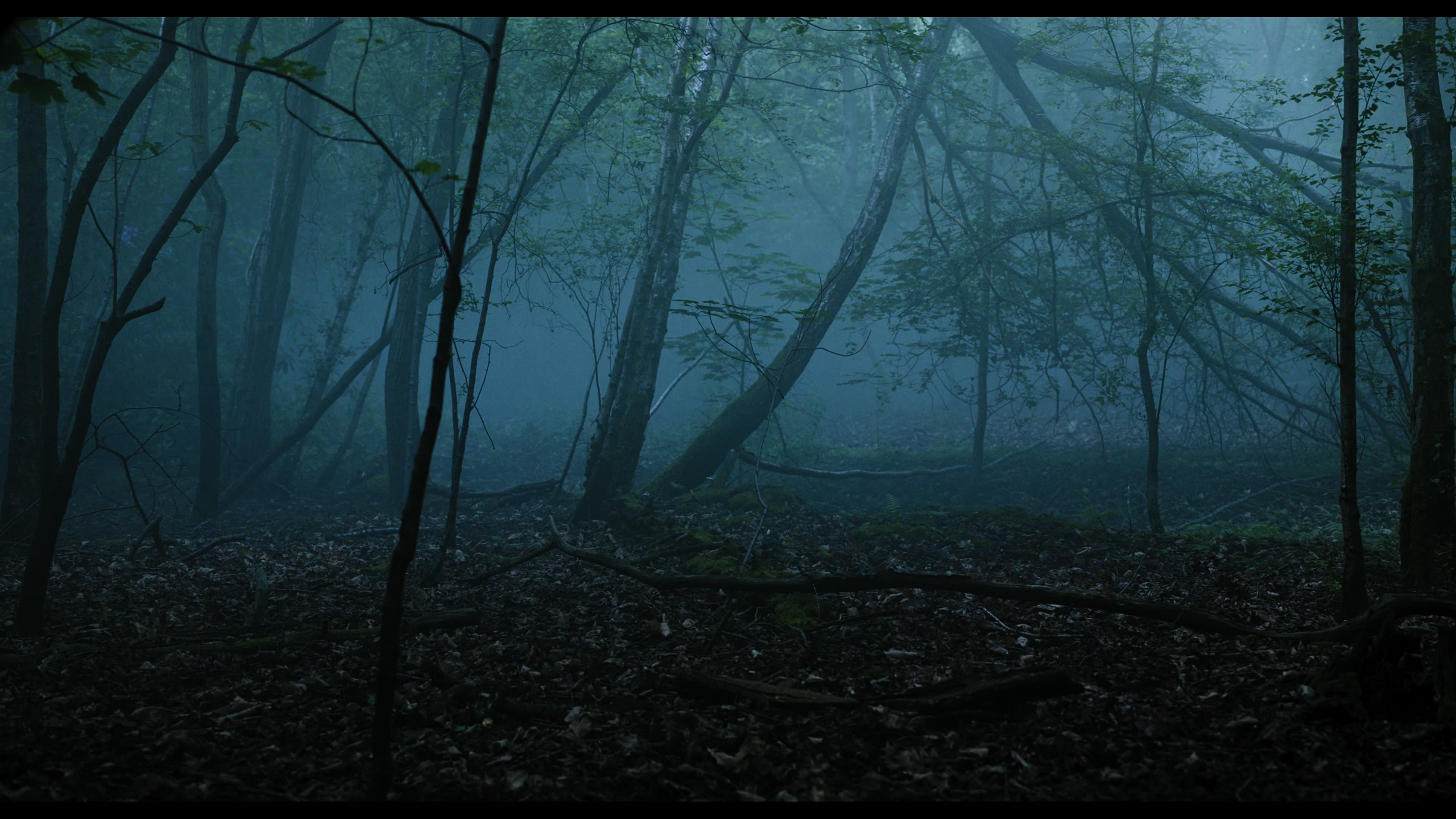 Wednesday S01E01 “Wednesday’s Child Is Full of Woe” HD screenshot 986