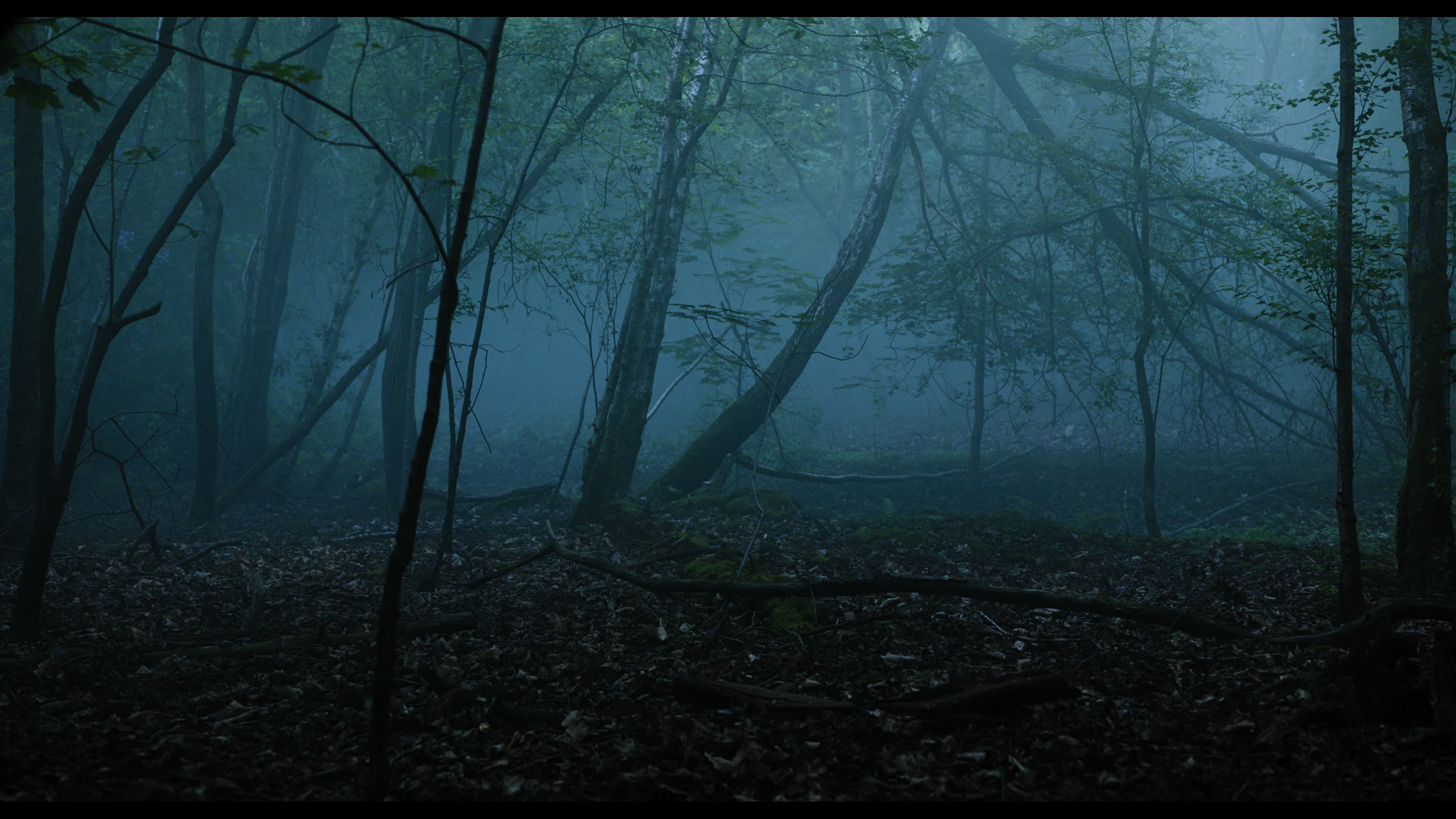 Wednesday S01E01 “Wednesday’s Child Is Full of Woe” screencap 990