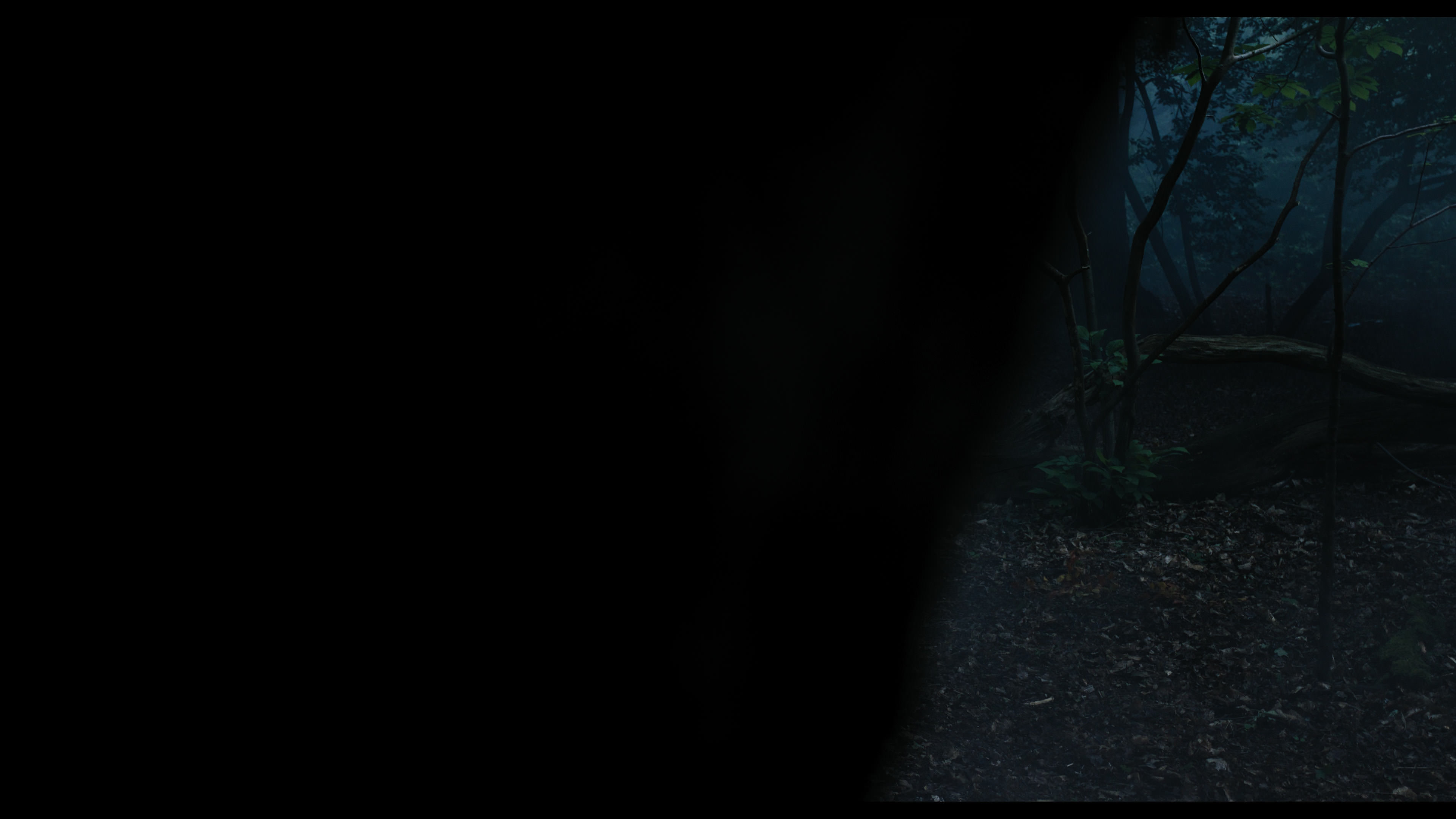 Wednesday S01E01 “Wednesday’s Child Is Full of Woe” movie still 991