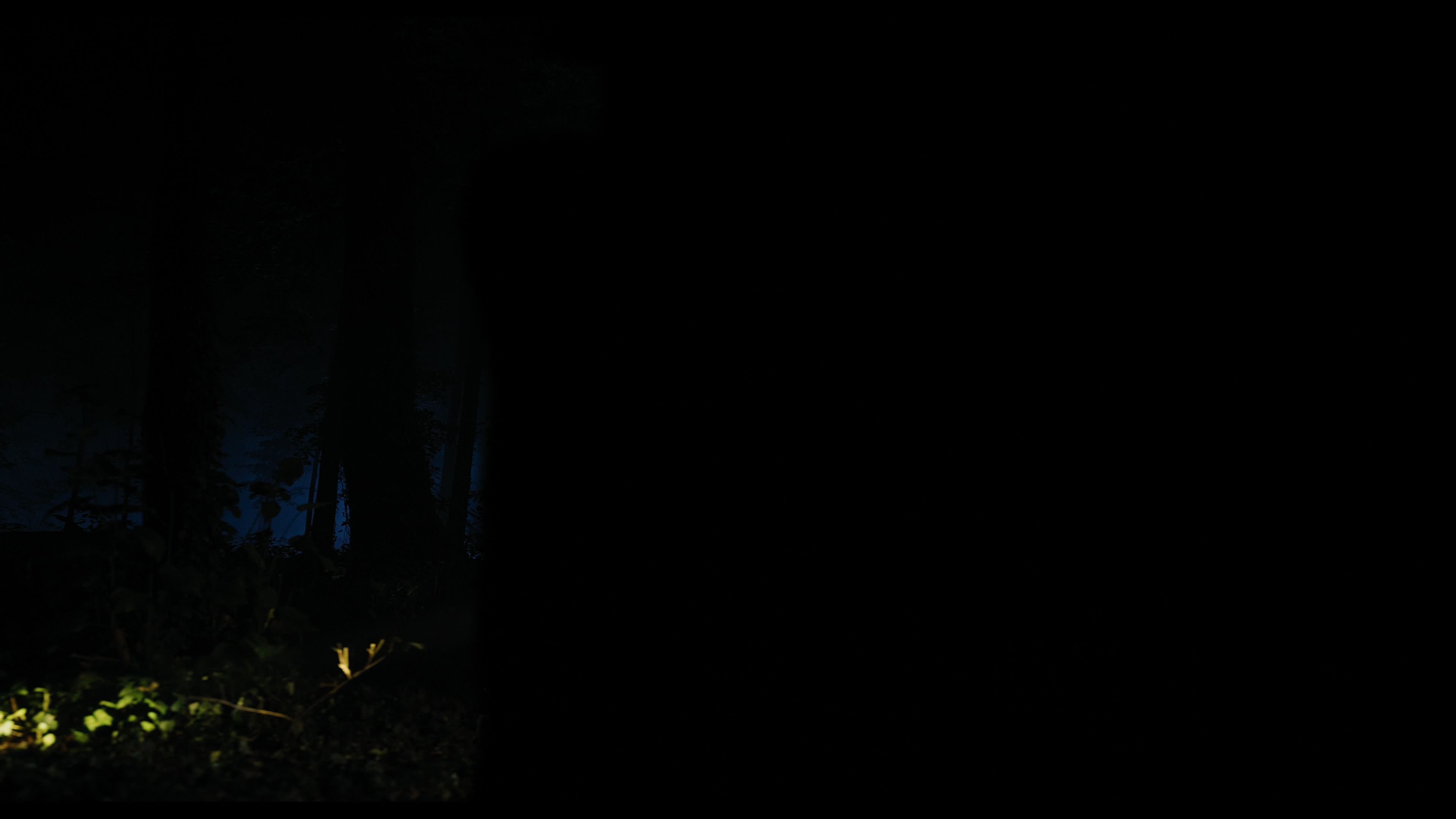Wednesday S01E02 “Woe Is the Loneliest Number” movie still 1