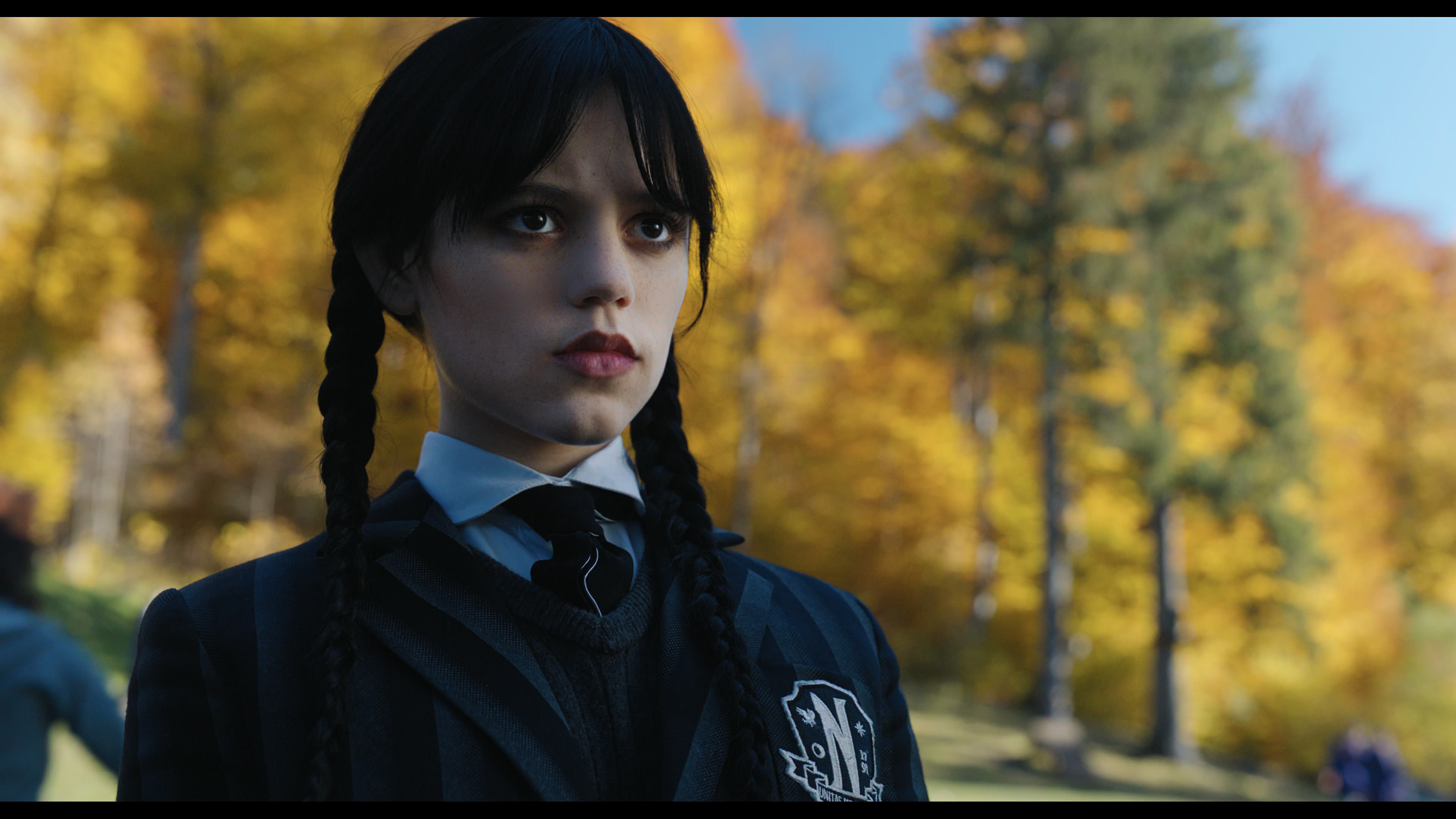 Wednesday S01E02 “Woe Is the Loneliest Number” HD screenshot 1061