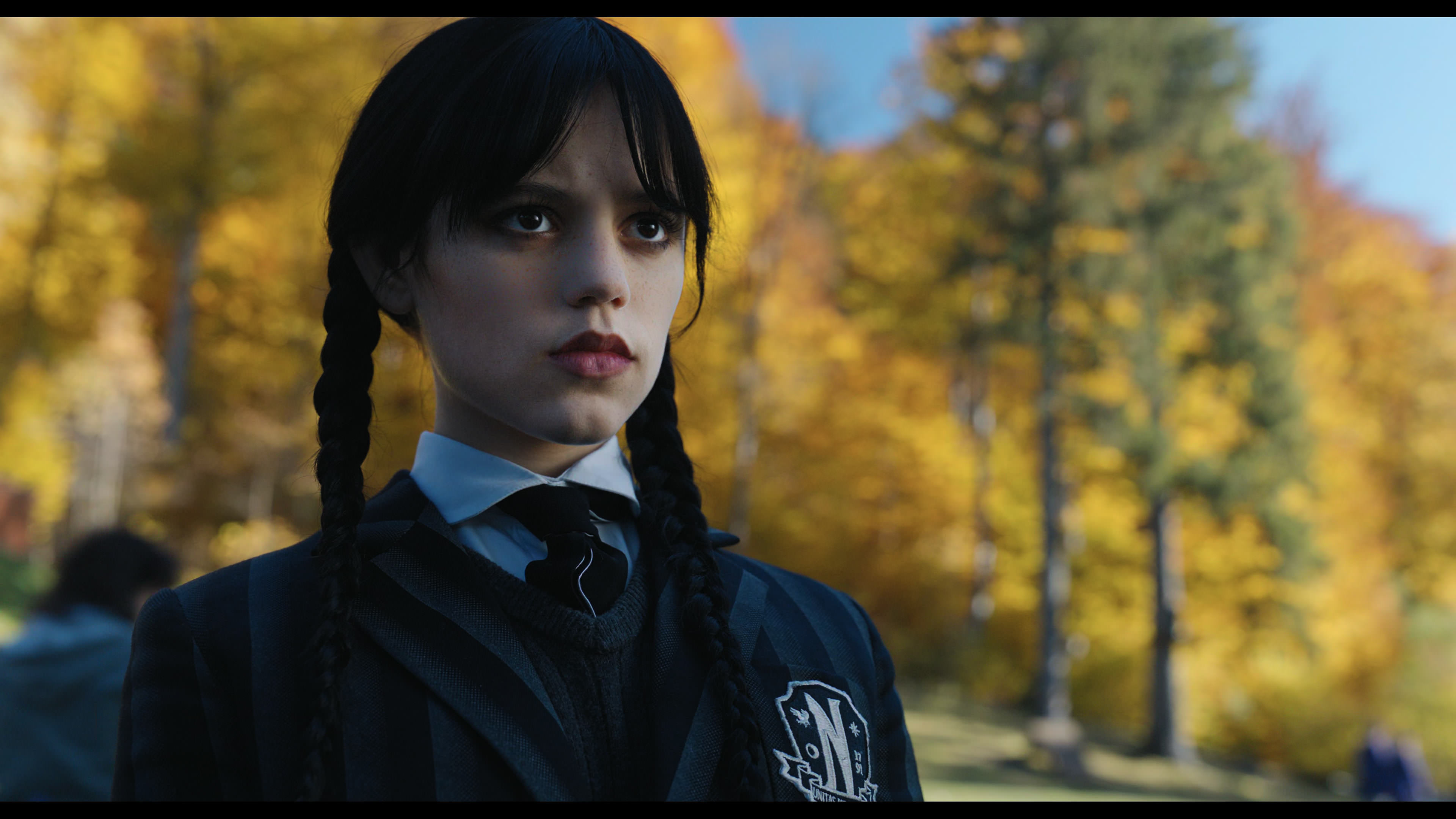 Wednesday S01E02 “Woe Is the Loneliest Number” screencap 1062