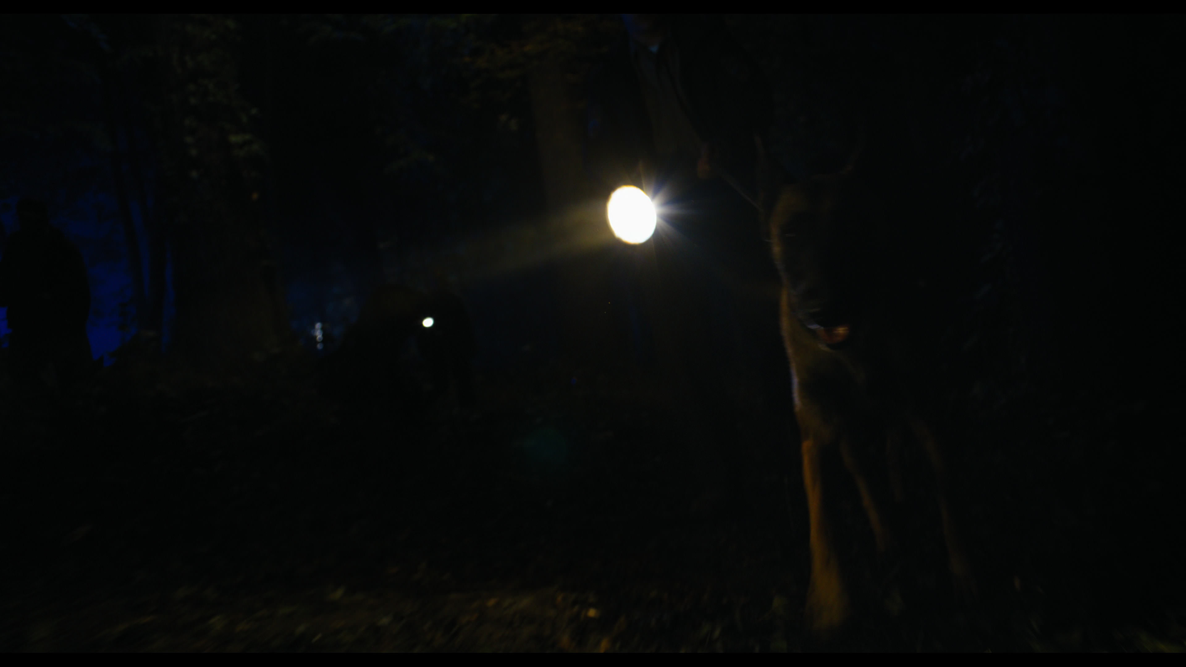 Wednesday S01E02 “Woe Is the Loneliest Number” screencap 12