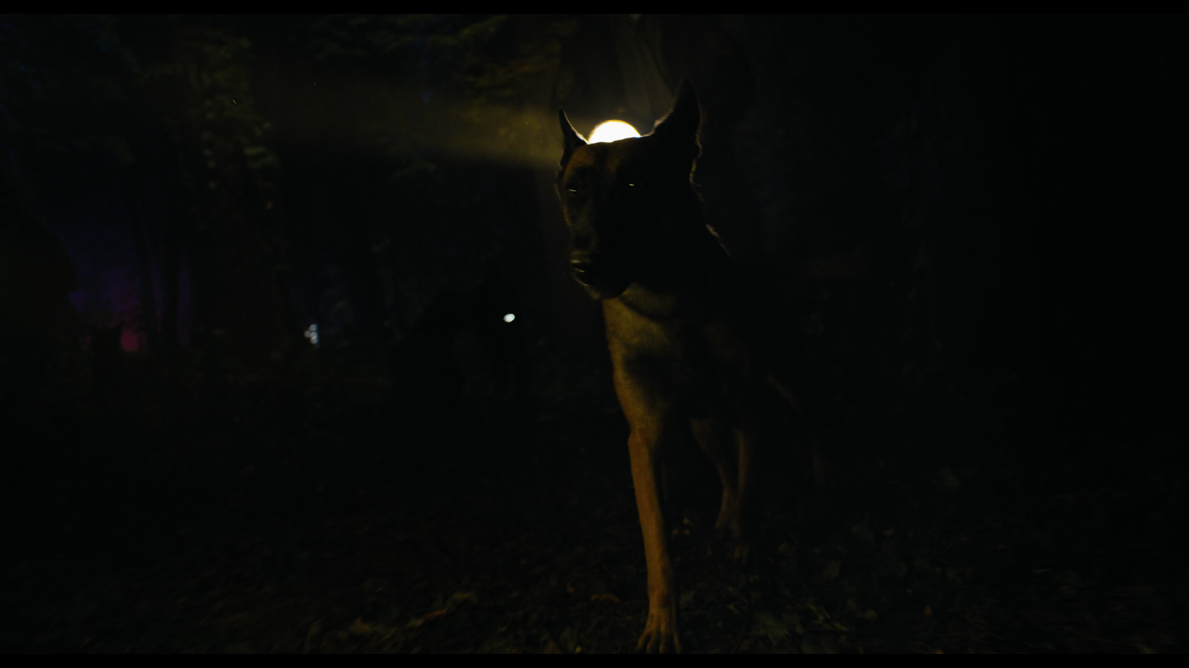 Wednesday S01E02 “Woe Is the Loneliest Number” HD screenshot 14