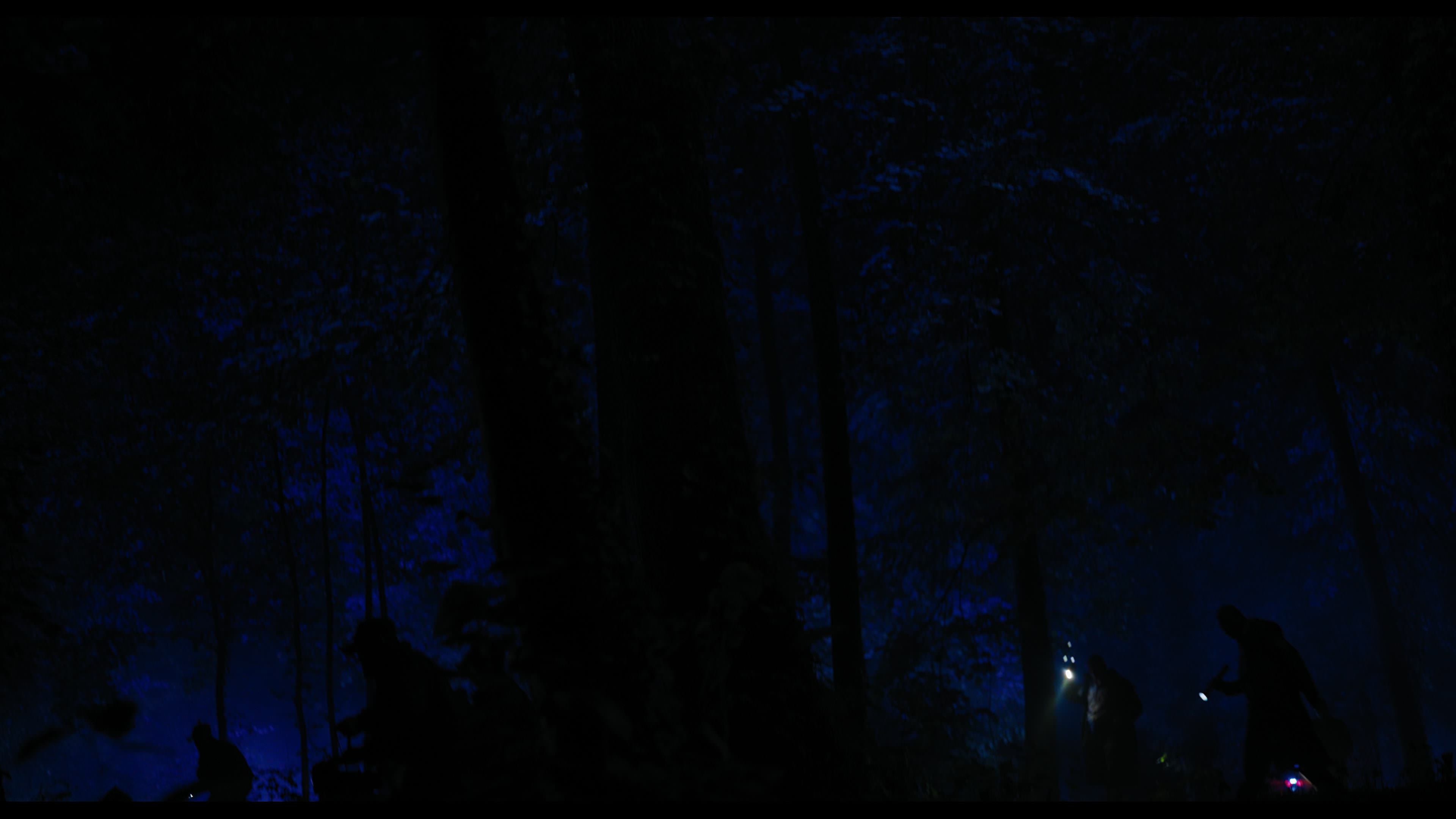 Wednesday S01E02 “Woe Is the Loneliest Number” movie still 16