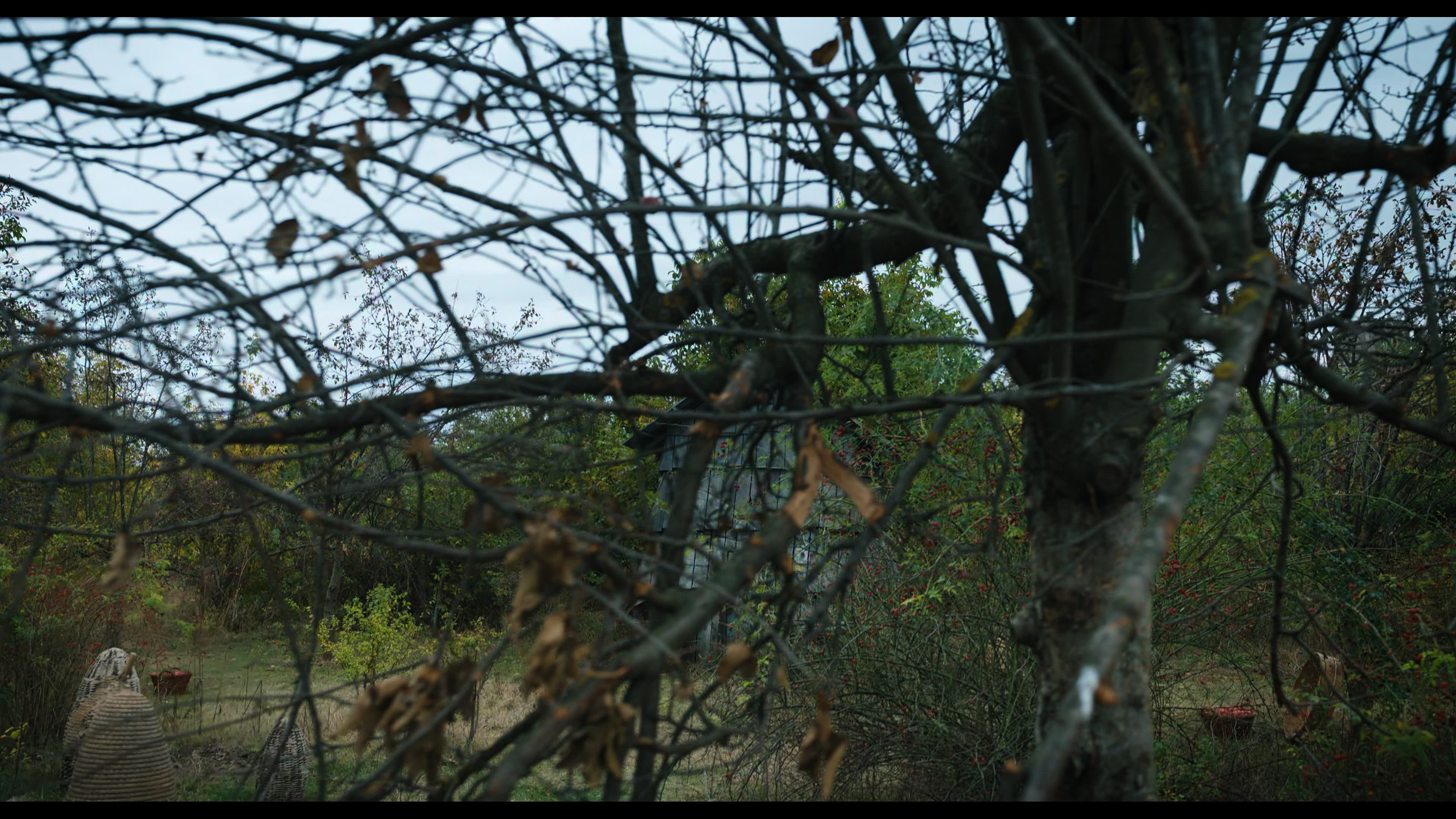Wednesday S01E02 “Woe Is the Loneliest Number” screencap 1797