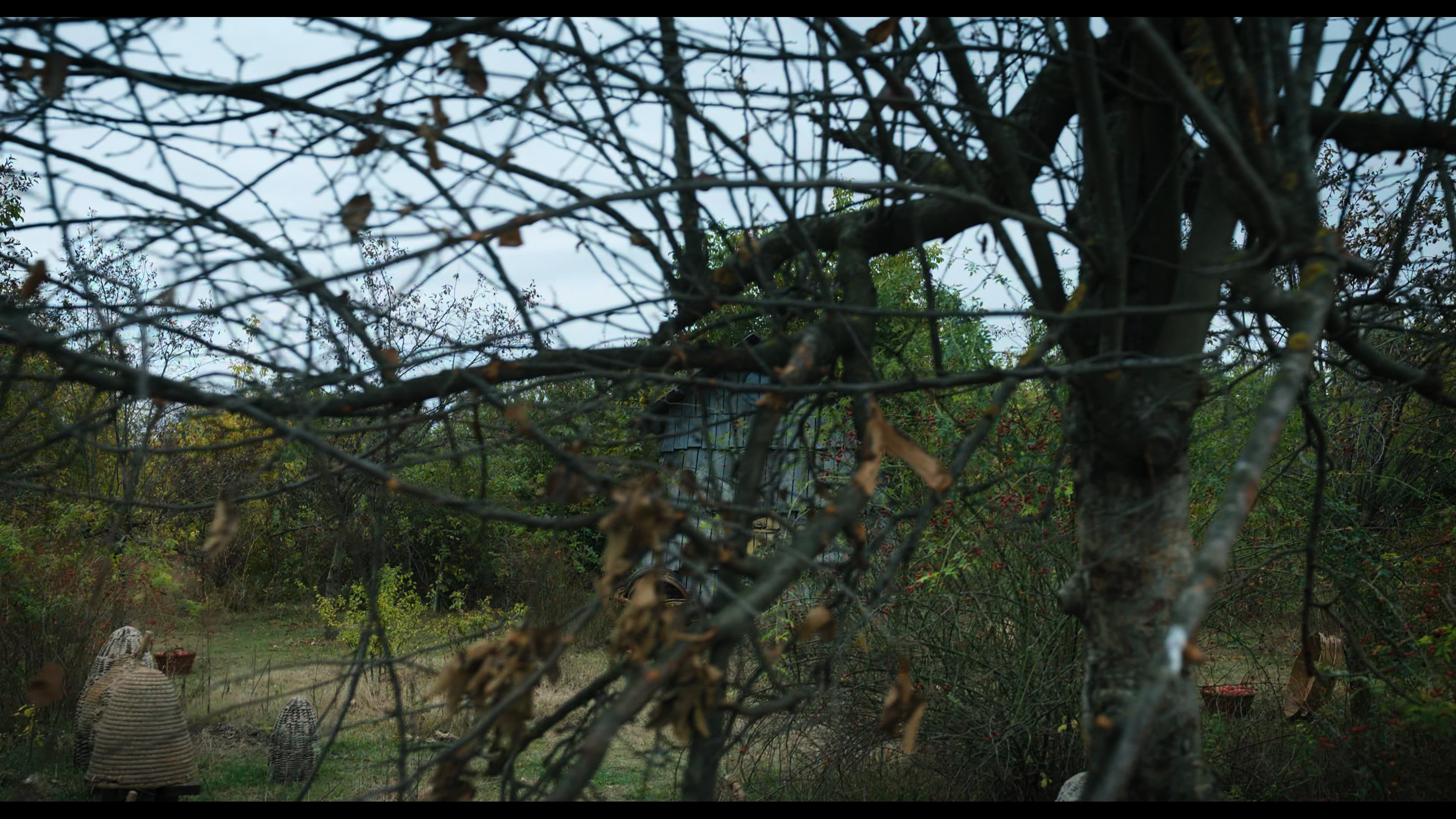 Wednesday S01E02 “Woe Is the Loneliest Number” movie still 1798