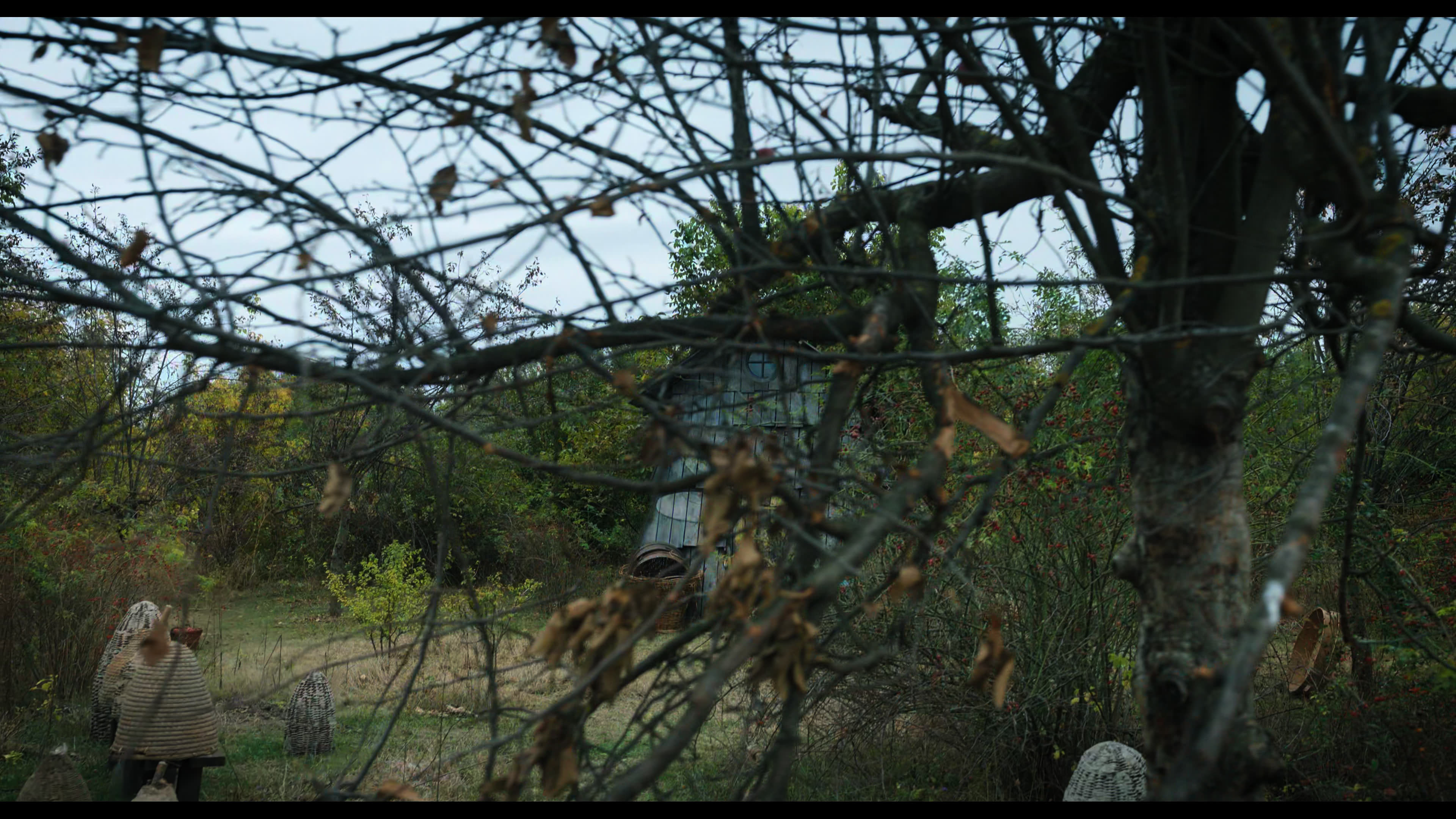 Wednesday S01E02 “Woe Is the Loneliest Number” HD screenshot 1799