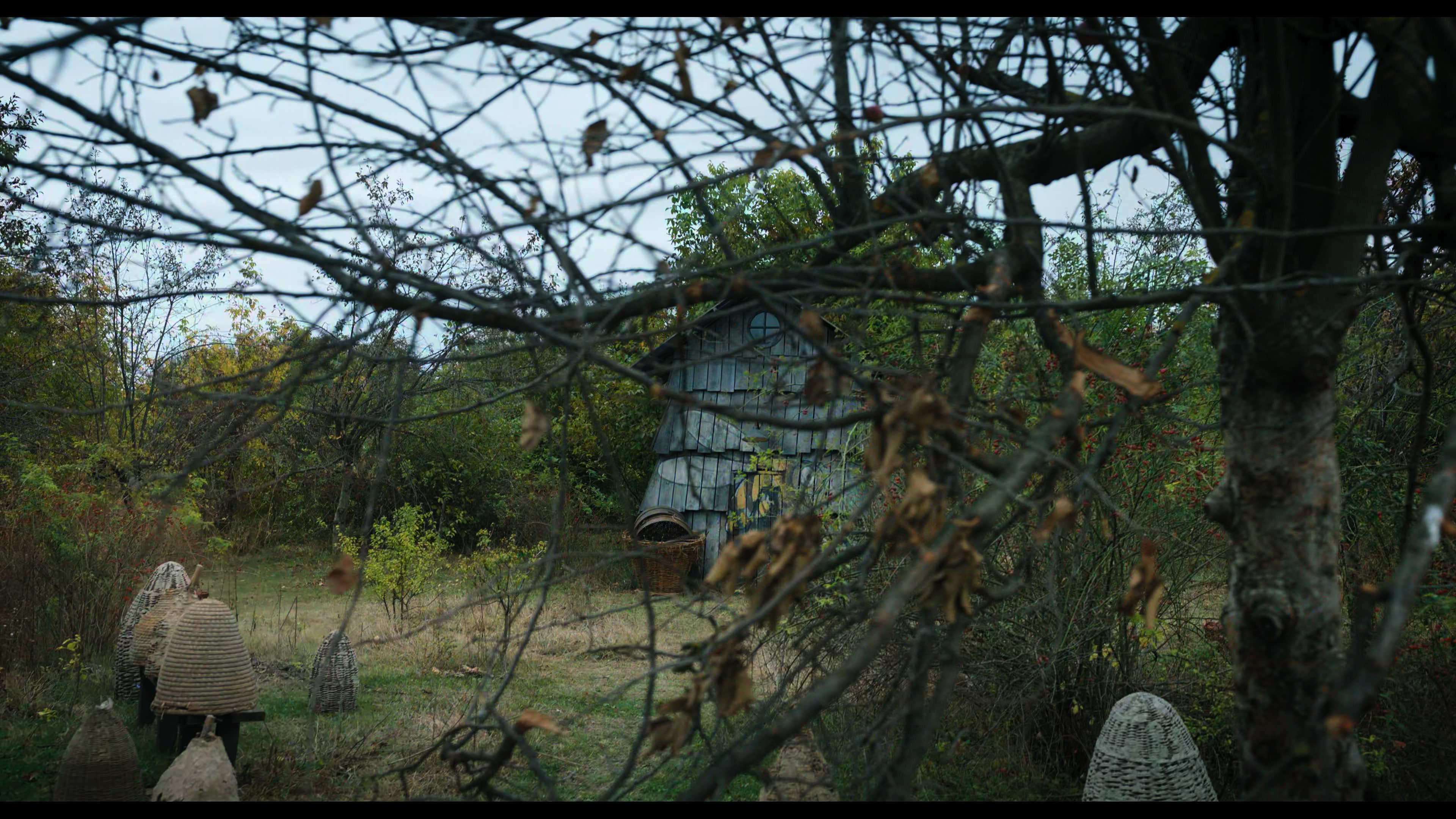 Wednesday S01E02 “Woe Is the Loneliest Number” movie still 1801